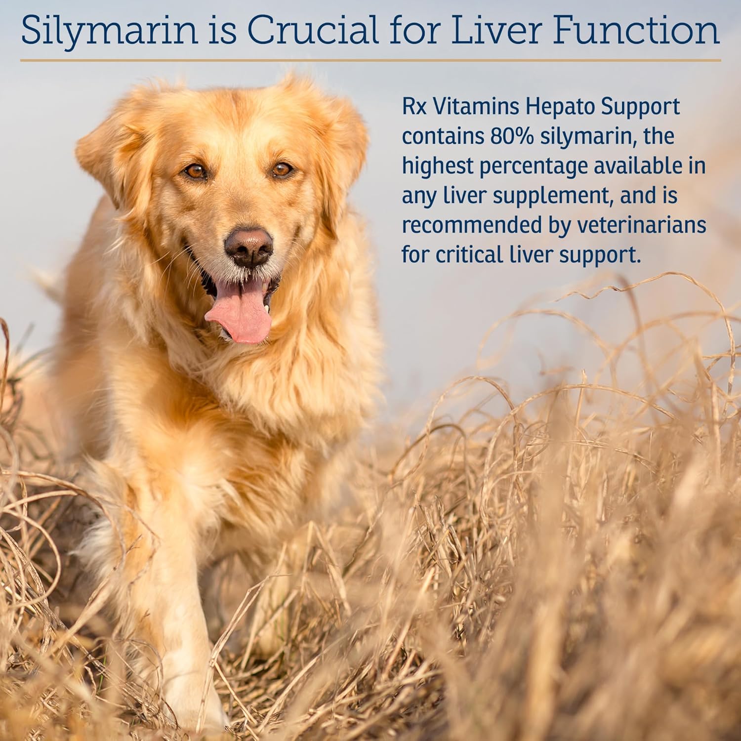 Liver Support Supplement for Dogs & Cats with Milk Thistle - Hepatic Health for Pets - Vitamin B Complex Enriched - 180 Capsules