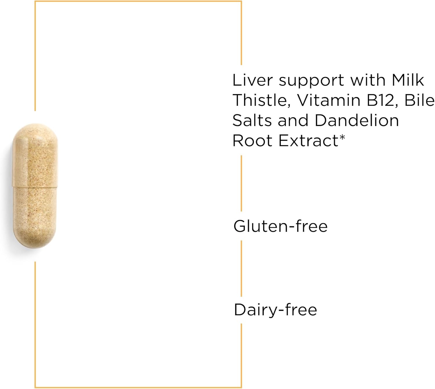 Liver Support Supplement with Milk Thistle, Vitamin B12, Bile Salts, Dandelion Root Extract - Gluten-Free & Dairy-Free - 90 Capsules