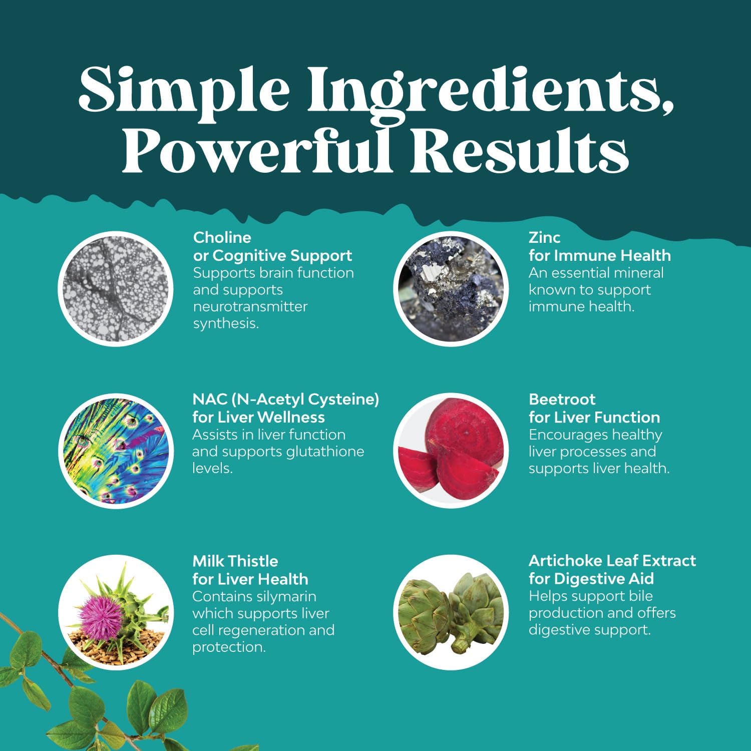 Liver Support & Thyroid Health Bundle - Herbal Supplements with NAC & Mood-Enhancing Energy Boost - Natural Liver & Thyroid Complex