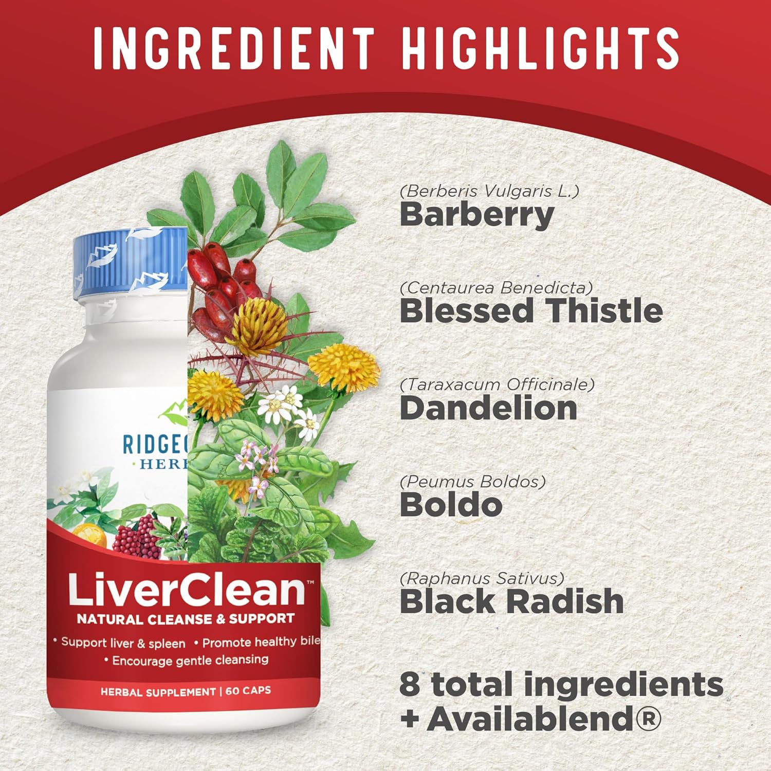 LiverClean Herbal Supplement for Liver Support with Blessed Thistle & Dandelion - Detox & Cleanse Support for Healthy Bile - 60 Capsules, 30 Servings
