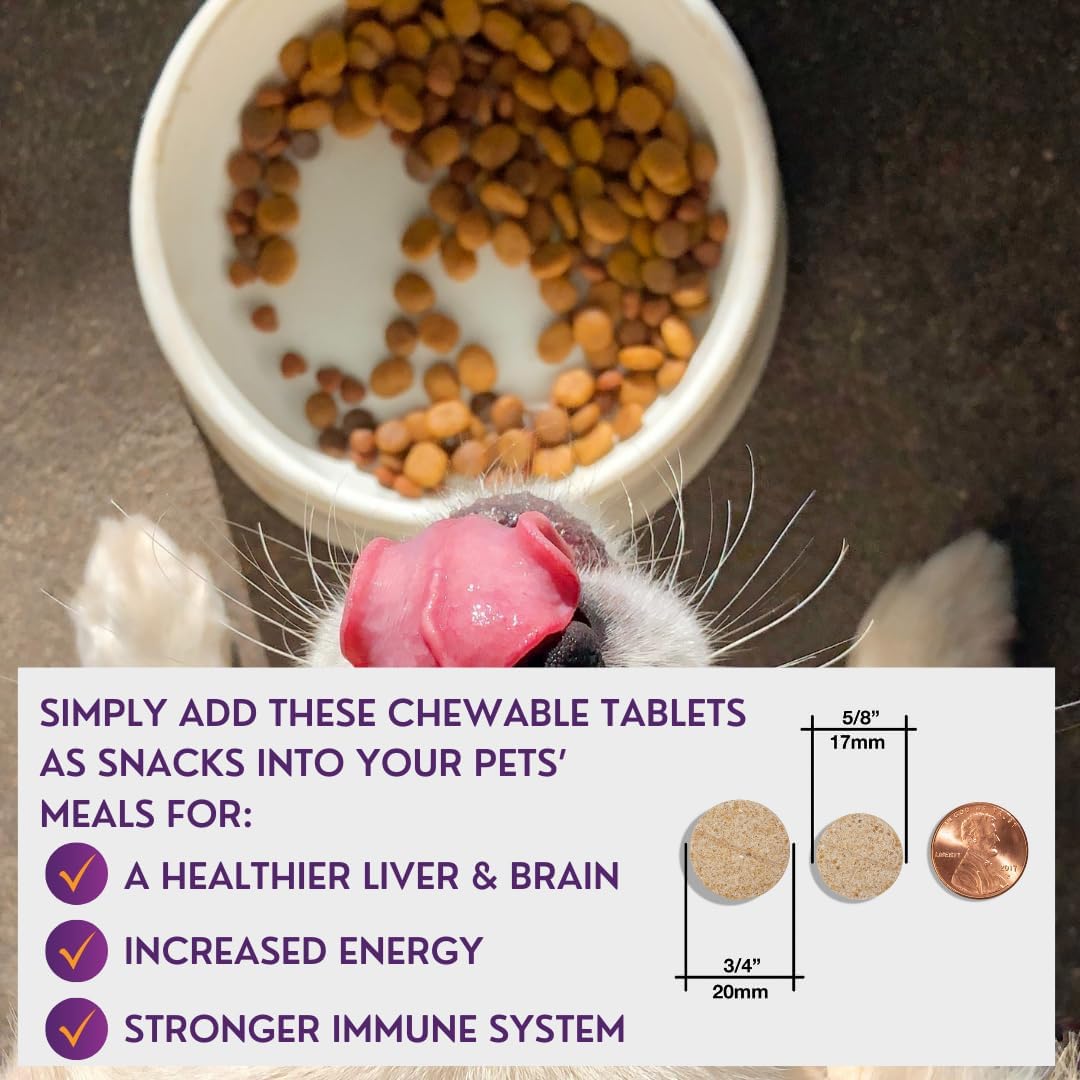 LiverTrio+ Liver Supplement Chew Tabs for Dogs - 2 Pack (60ct) - Same, SPC, Silybin A+B, Glutathione - Small to Medium Breeds - 30ct