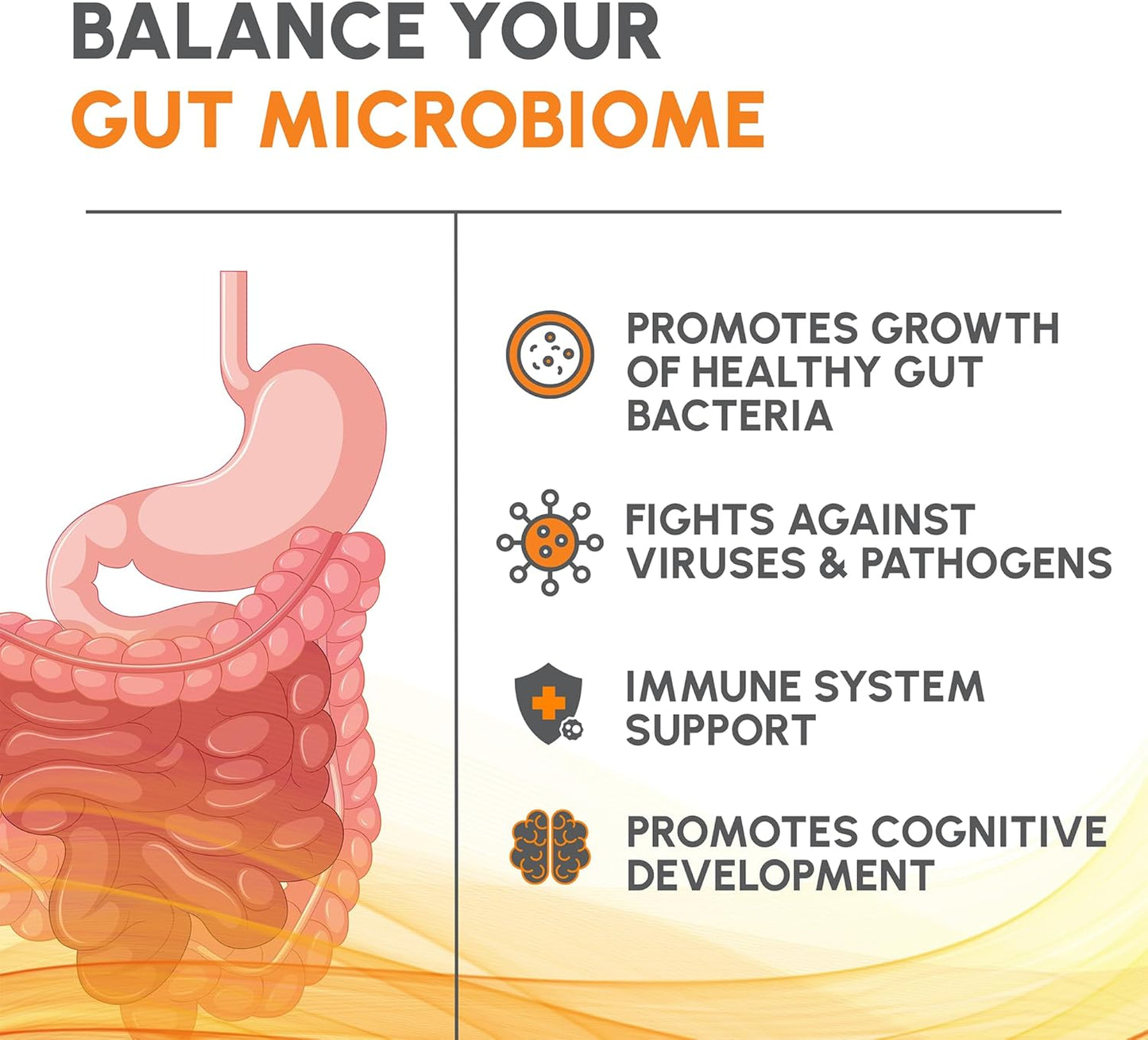 LivNu HMO 2'-FL Prebiotic Powder for Gut Health - 45 Servings | Support Digestive Health with Human Milk Oligosaccharide