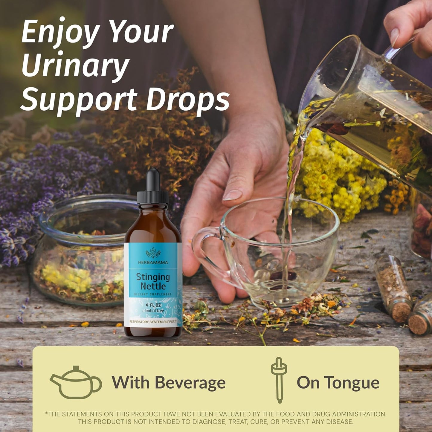 Lomatium Root and Stinging Nettle Tincture Bundle - Herbal Liquid Drops Kit, 4 fl oz Each - Vegan, Non-GMO, Alcohol & Sugar-Free - 2 Pack