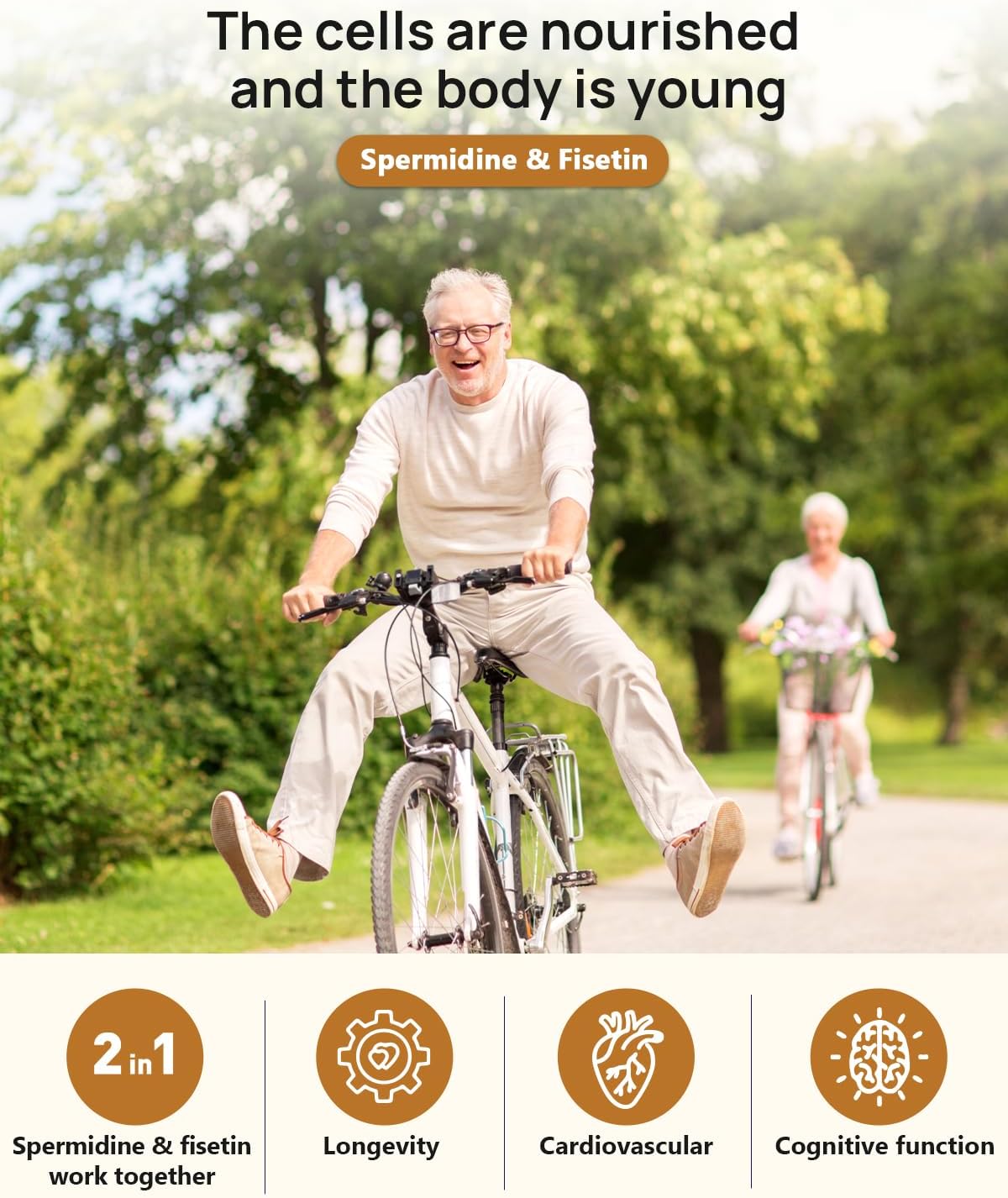 Longevity Bundle: Spermidine & Fisetin with Digestive Enzymes - Aging Defense & Gut Health Support