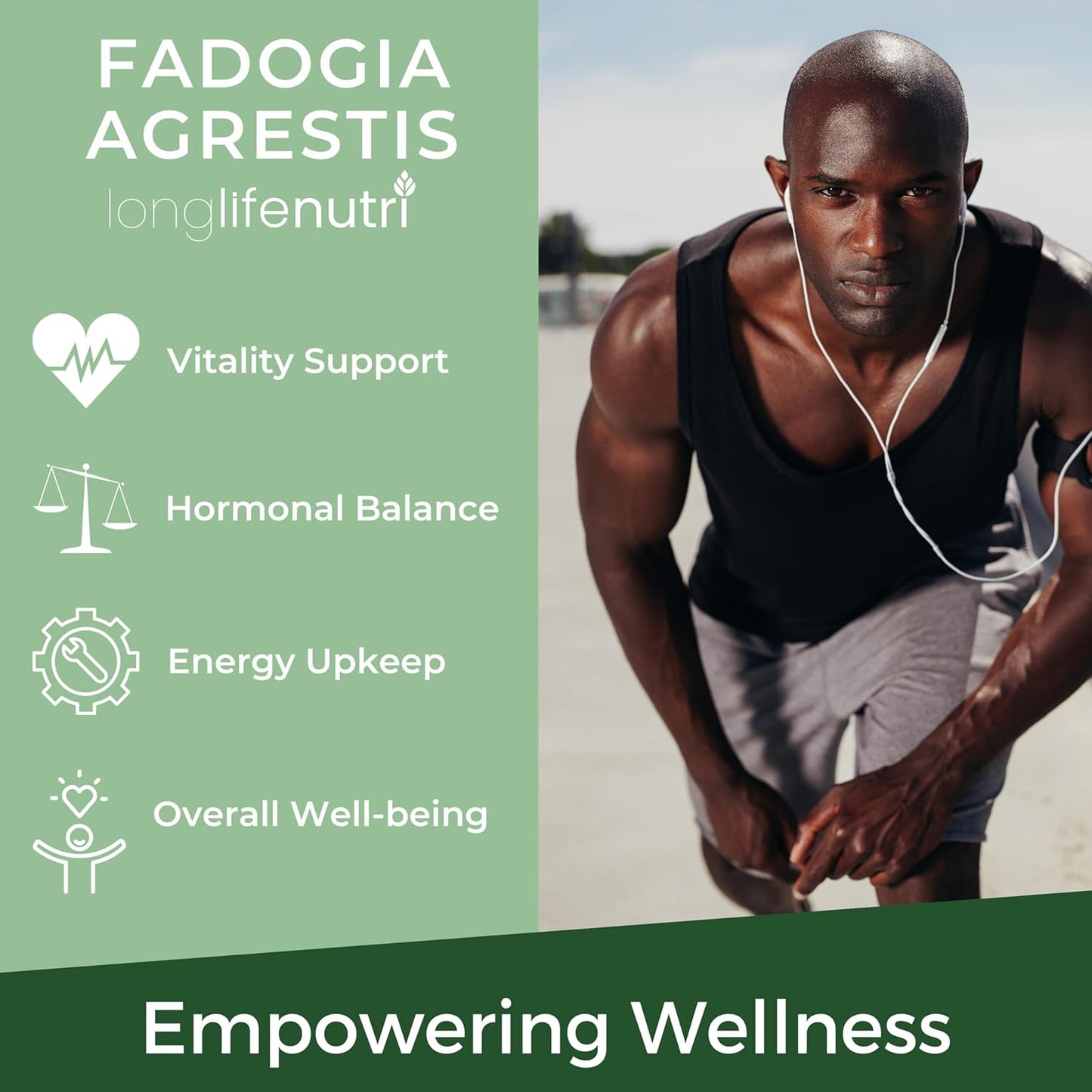 LongLifeNutri Fadogia Agrestis Extract Capsules - 200 Vegetarian Caps, 500mg, USA Made, Energy & Endurance Supplement for Athletic Performance - 3-Month Supply