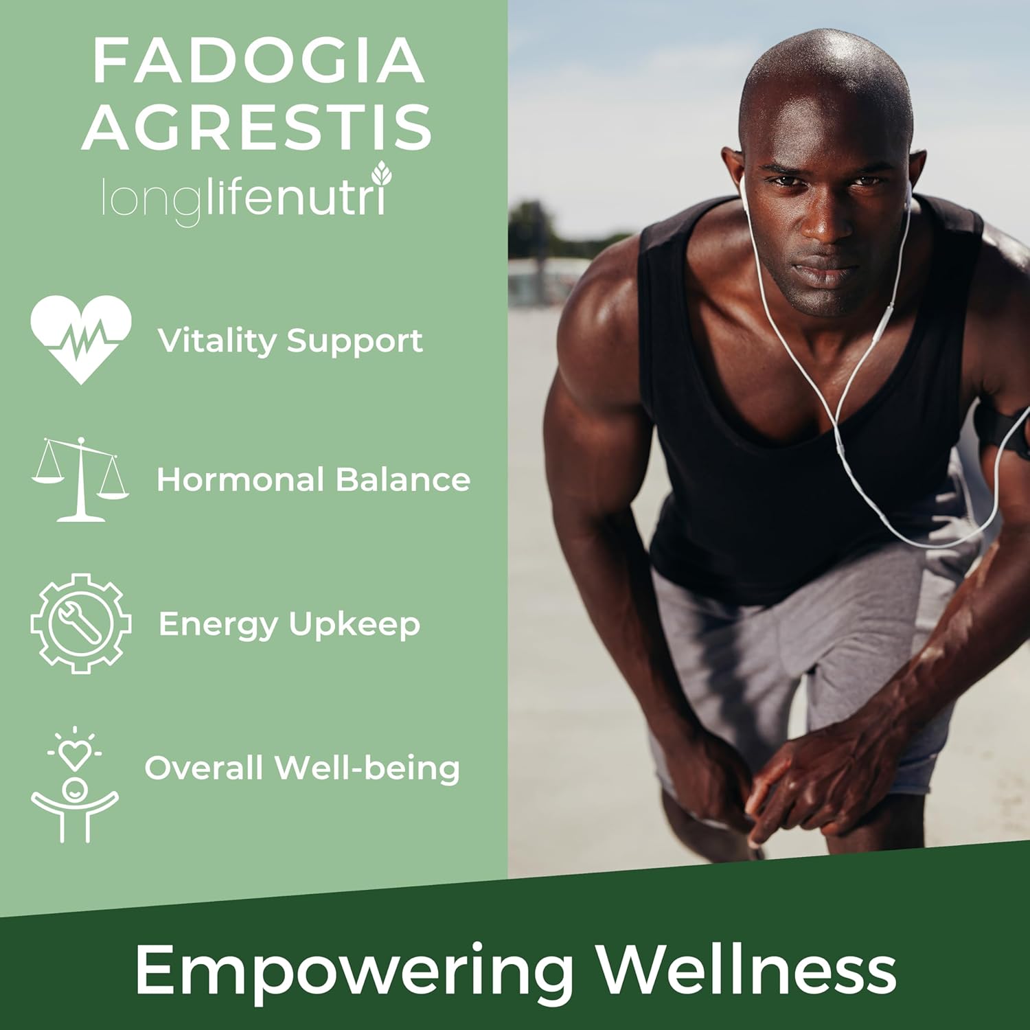 LongLifeNutri Fadogia Agrestis Extract Capsules - 200 Vegetarian Caps, 500mg, USA Made, Energy & Endurance Supplement for Athletic Performance - 3-Month Supply