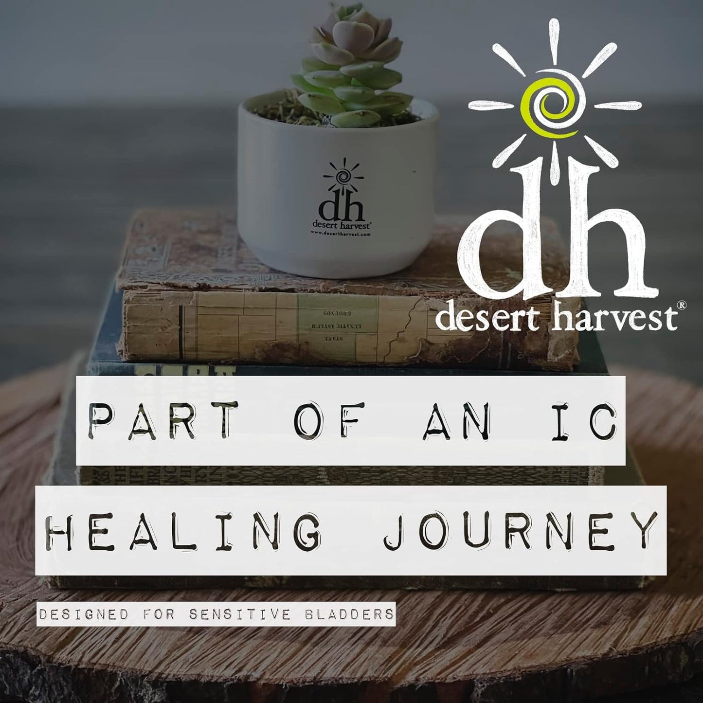 Low-Acid Multi-Vitamin Supplement with pH Balanced Formula, 90 Capsules - B6 Free by Desert Harvest