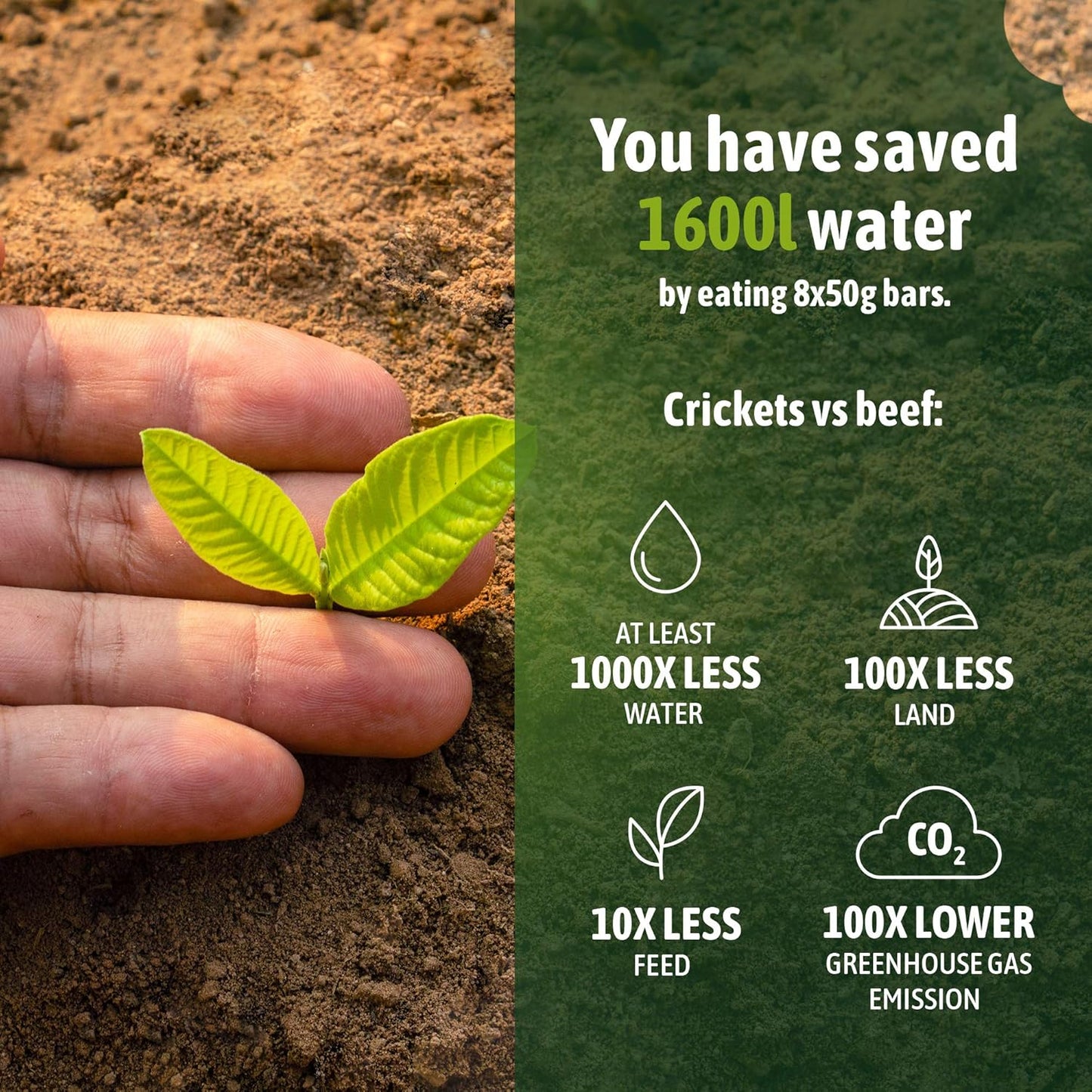 Low Calorie High Protein Girl Power Protein Bars - Vegan Meal Replacement Snacks with Iron, No Sugar, Chicory Spirulina Lemon Flavor, Pack of 8