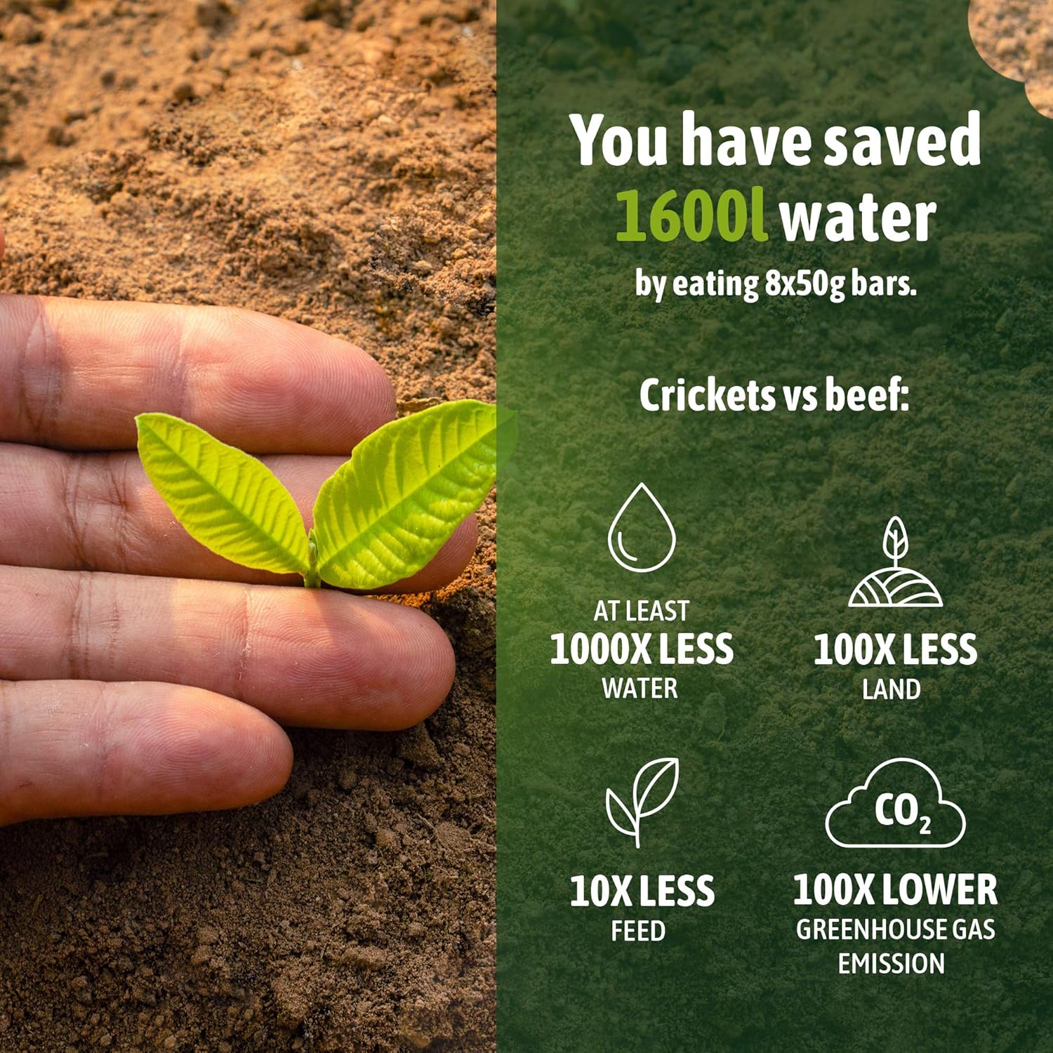 Low Calorie High Protein Girl Power Protein Bars - Vegan Meal Replacement Snacks with Iron, No Sugar, Chicory Spirulina Lemon Flavor, Pack of 8