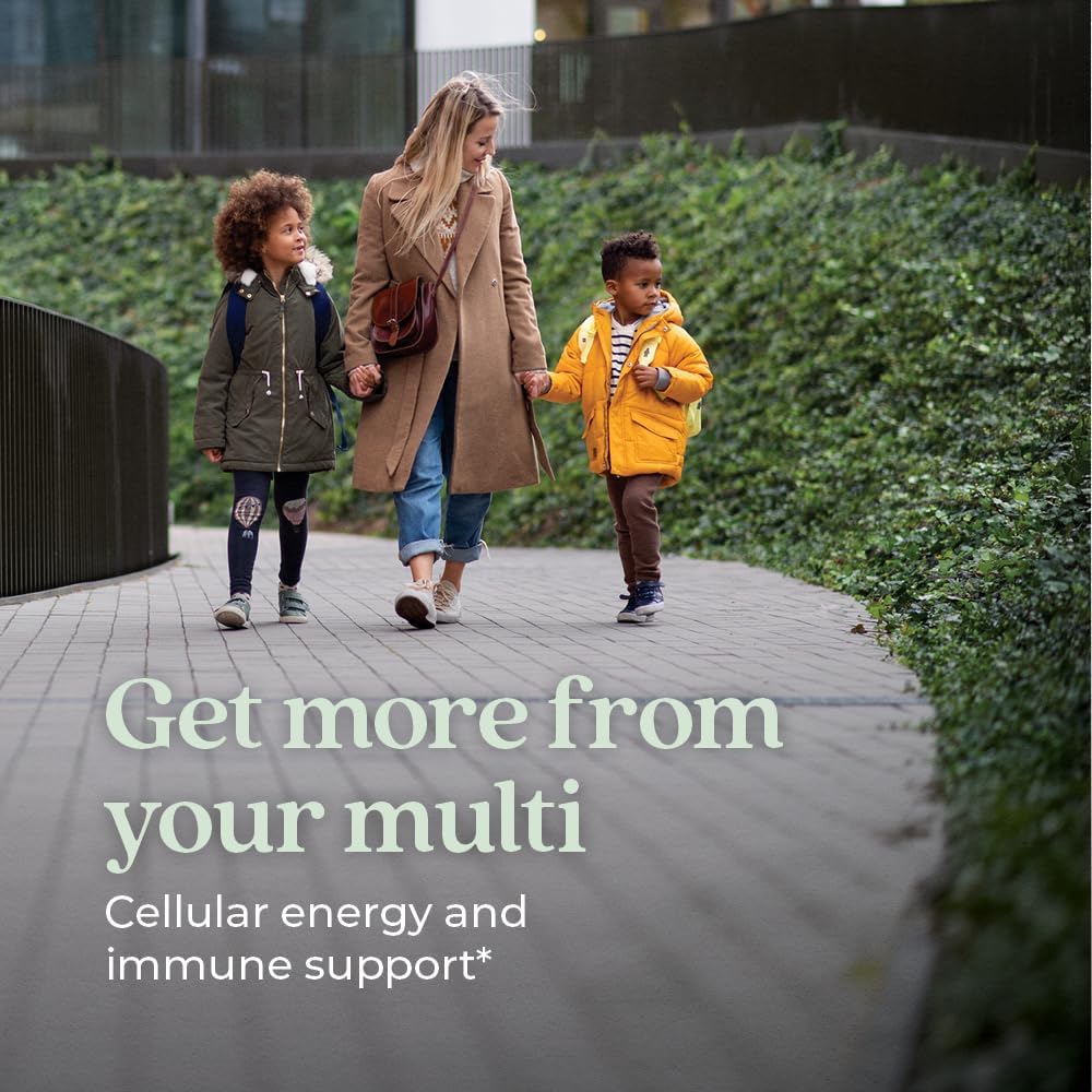 Low Sugar Women's Multivitamin Gummies with Vitamin C, D3, Zinc - Non-GMO, Gluten Free - Berry-Citrus Flavor - 75ct