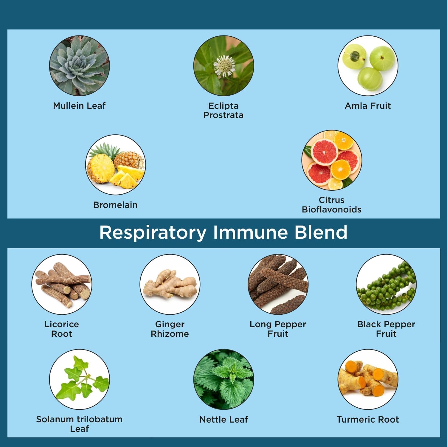 Lung Cleanse Capsules with Organic Mullein Leaf Extract, Vitamin C, Turmeric - Respiratory Health Supplement for Clear Bronchial Support - 60 Pills