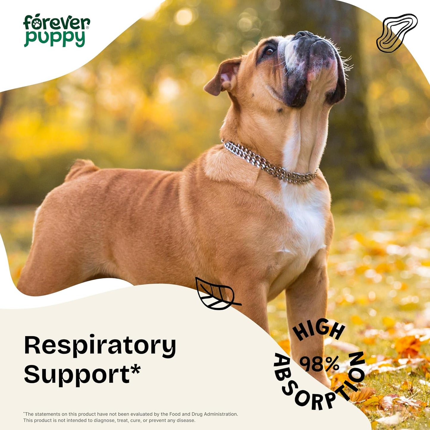 Lung Cleanse & Detox Drops for Dogs - Licorice Root Extract - Respiratory Health Supplement - 4 oz