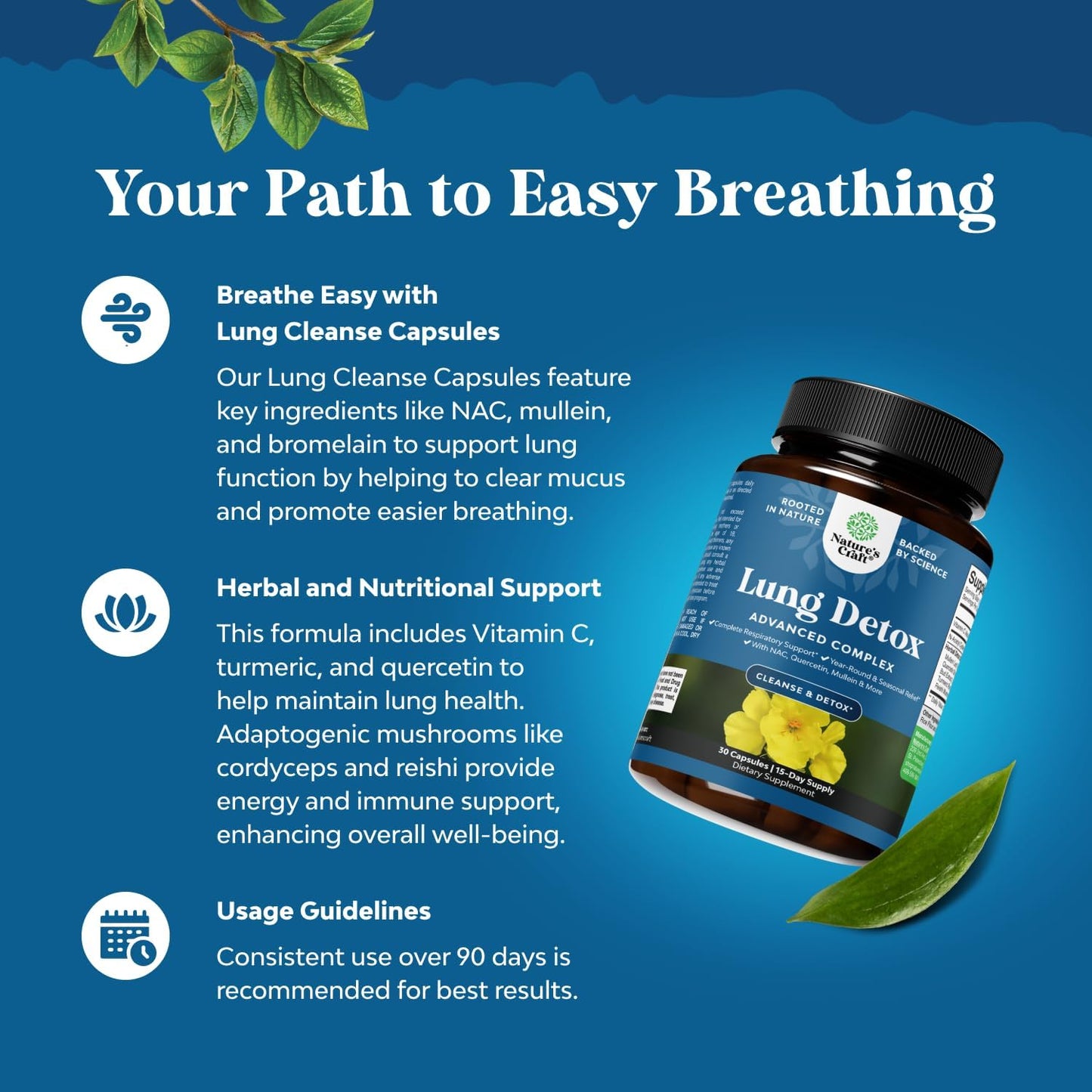 Lung Detox Mullein Leaf Capsules with NAC, Quercetin, & Cordyceps Extract - Respiratory Support Supplement for Sinus Health & Immunity - 30ct