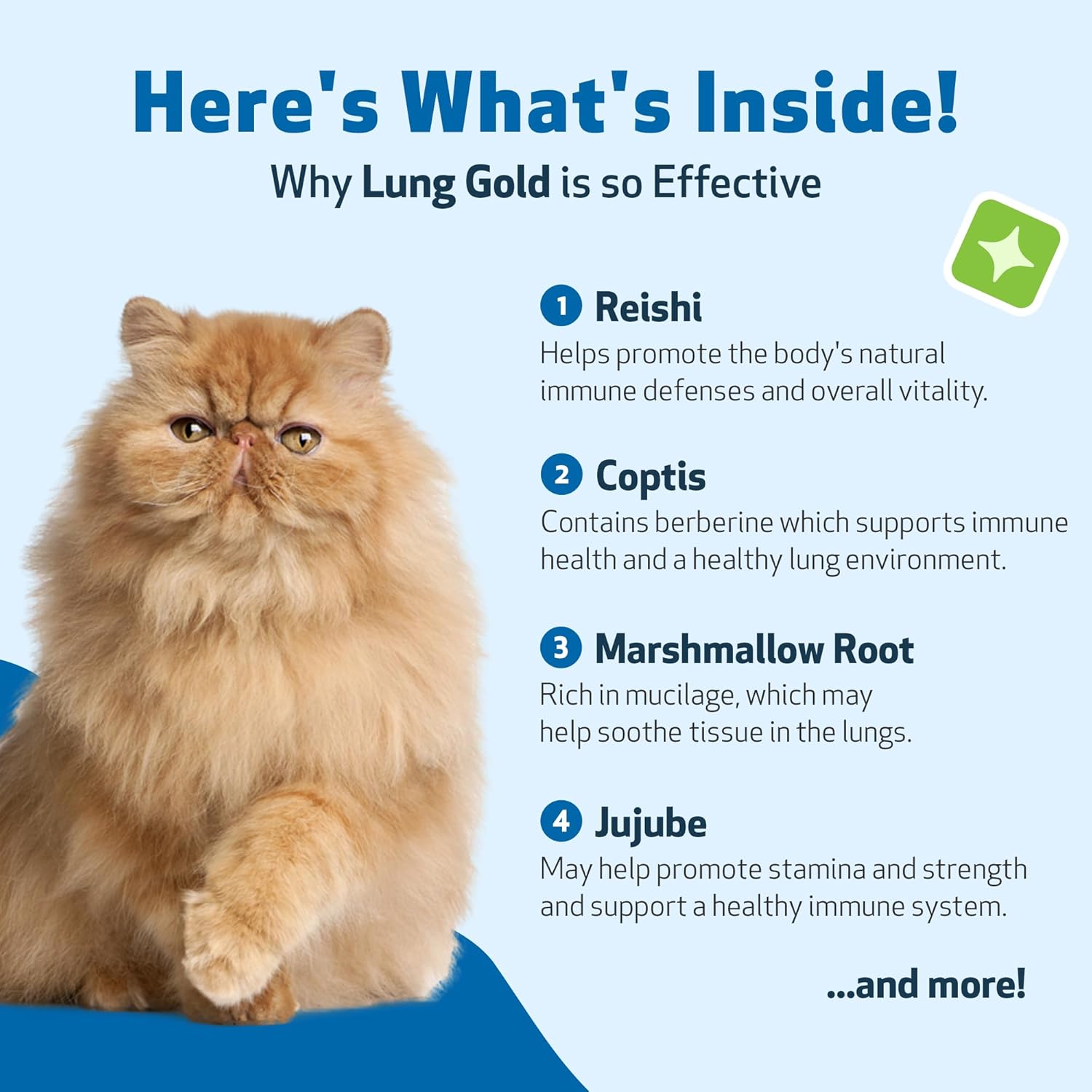 Lung Gold Herbal Supplement for Cats - Supports Lung Health, Immune Function, and Respiratory Wellness - Veterinarian-Formulated - 2 oz