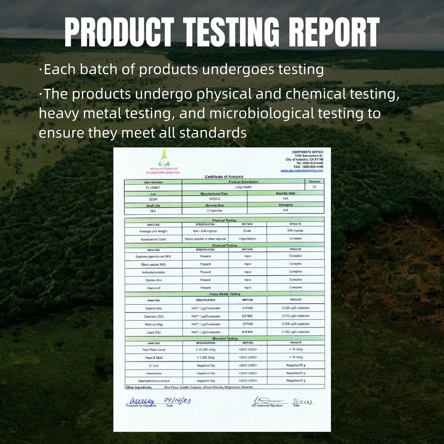 Lung Health Support Capsules with Quercetin, NAC, and Vitamin C - 60 Count - GMP Certified - Made in USA