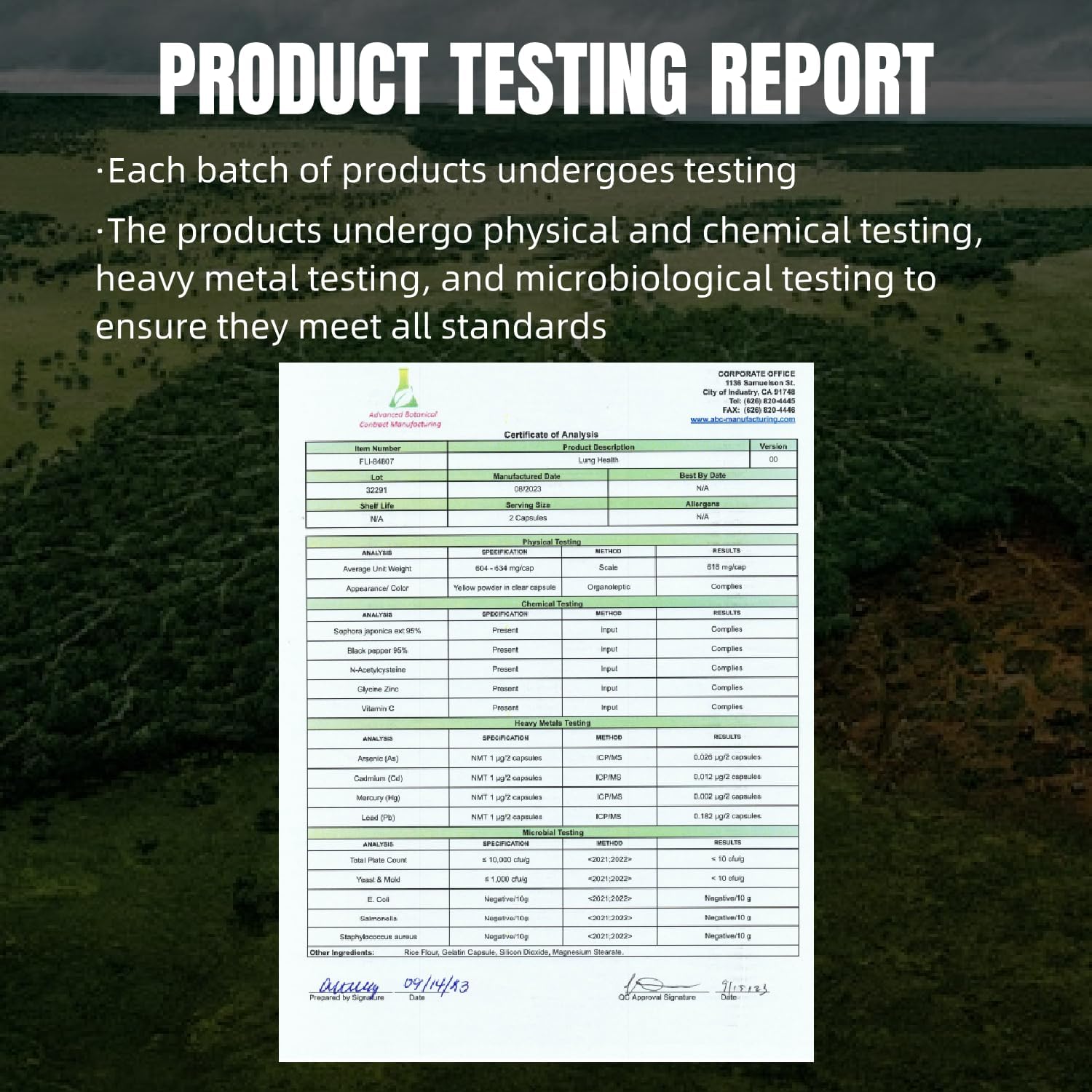 Lung Health Support Capsules with Quercetin, NAC, and Vitamin C - 60 Count - GMP Certified - Made in USA