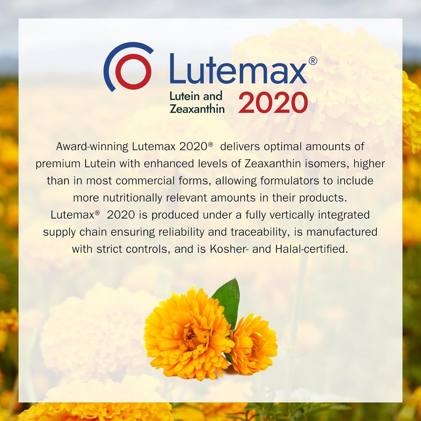 Lutemax 2020 Eye Health Supplement with Lutein, Zeaxanthin, Bilberry, and Vitamins A, C, E - 60 Softgels