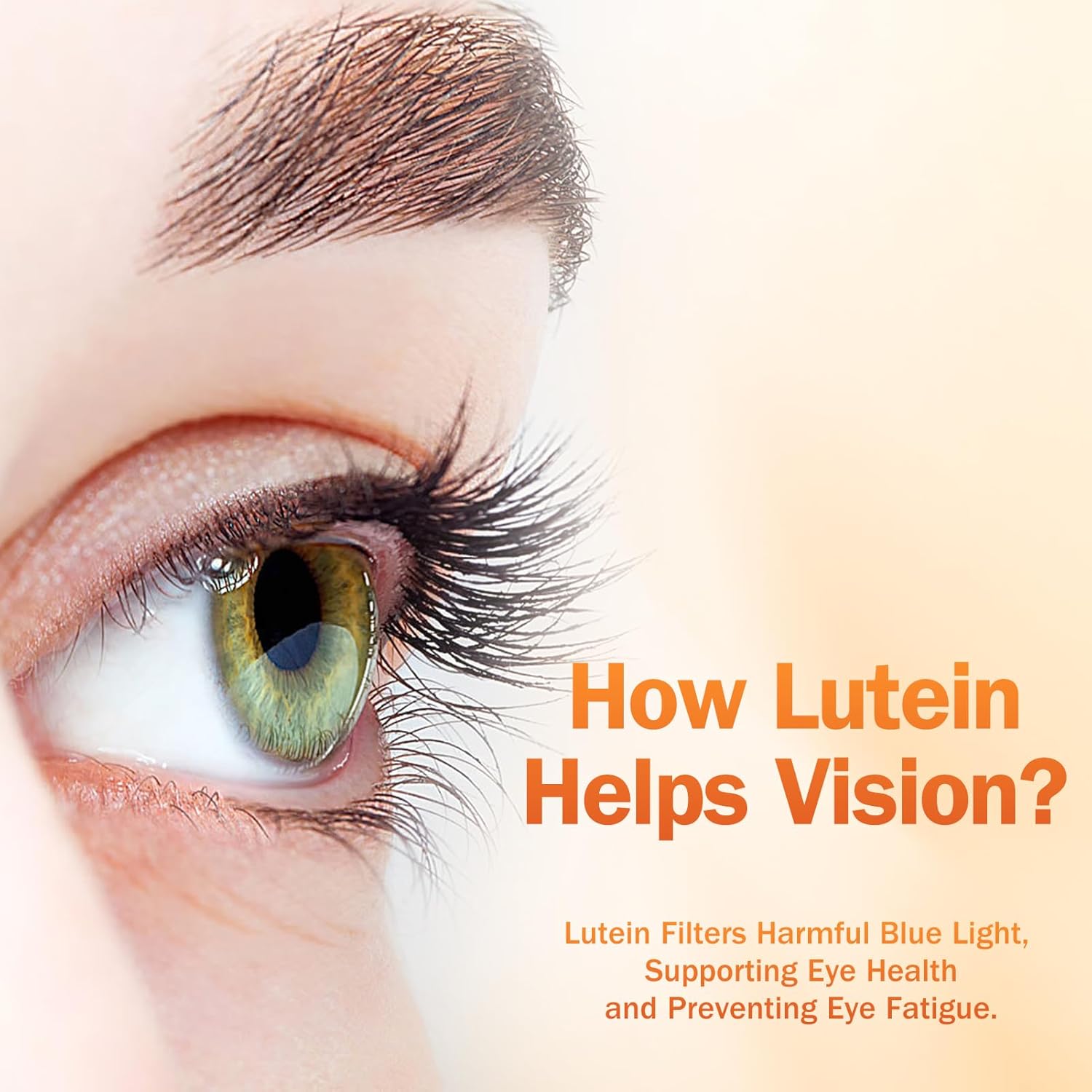 Lutemax 2020 Eye Health Supplement with Lutein, Zeaxanthin, Bilberry, and Vitamins A, C, E - 60 Softgels