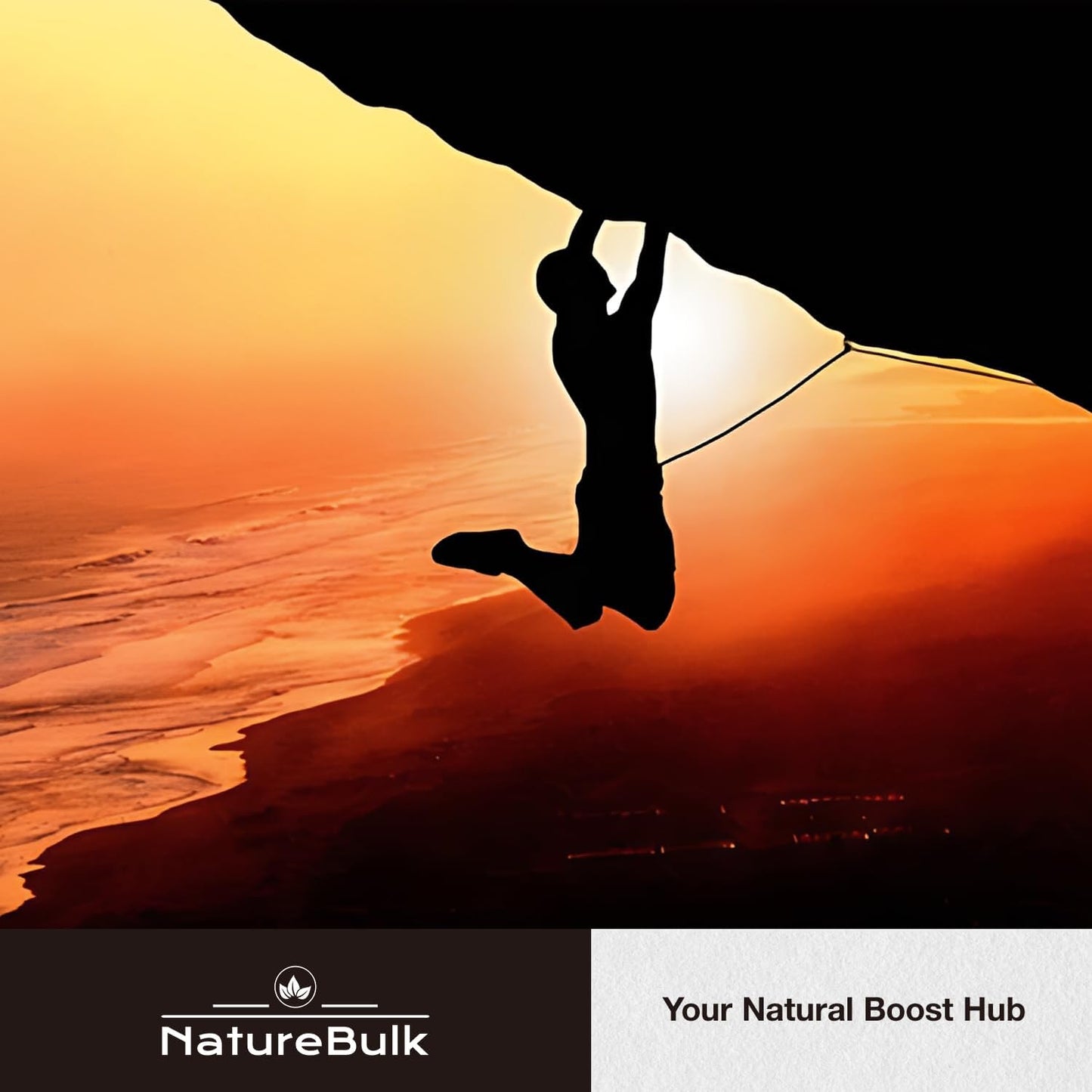 Lycopene and Astaxanthin Supplement with Reishi Spore for Skin Health and Immune Support - 120 Veggie Capsules