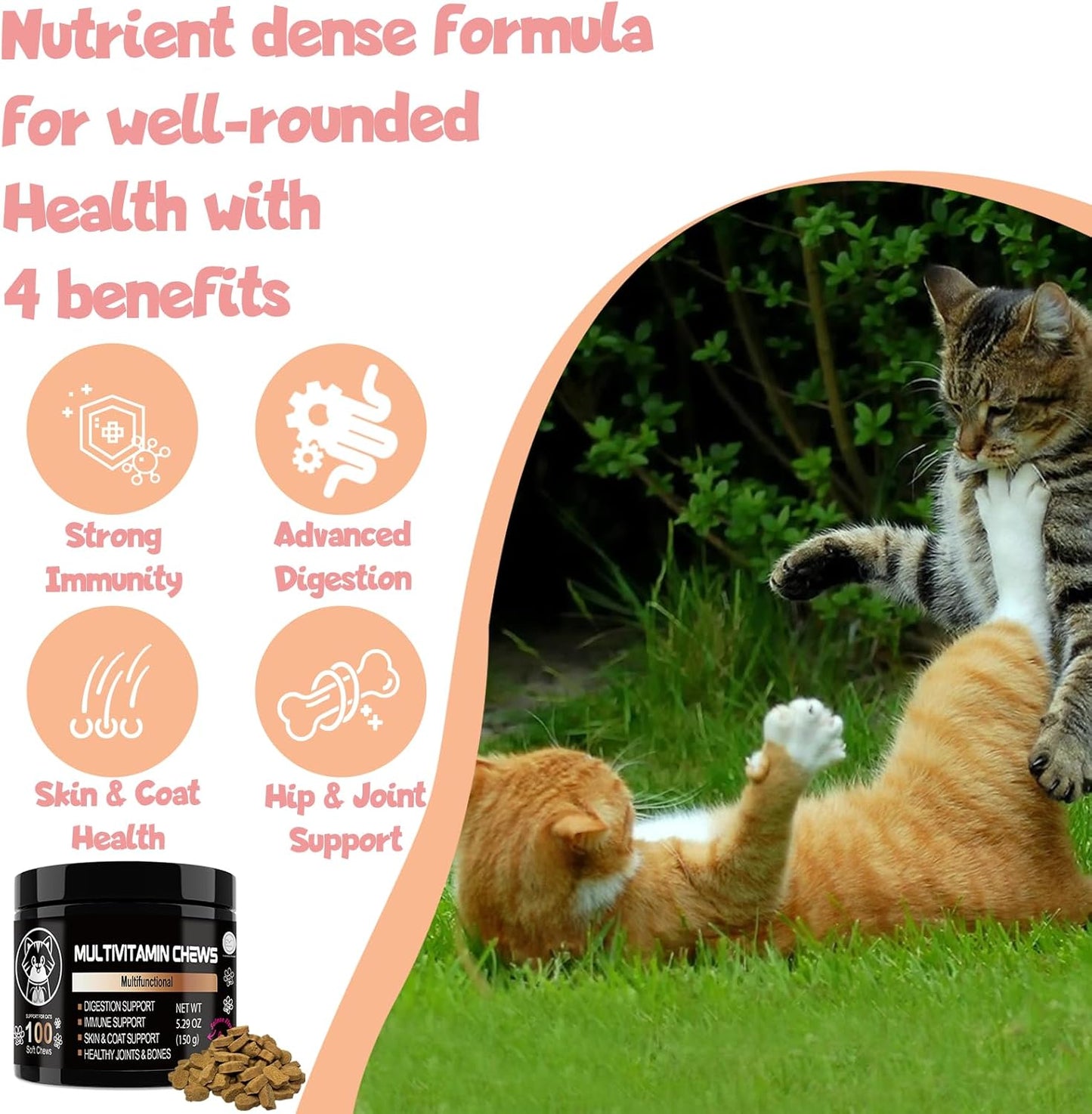 Lysine Cat Vitamin Supplement for Immune System, Joint & Skin Health - Indoor Cat Treat - Chewable Tablets - Cat Vitamins for Wellness