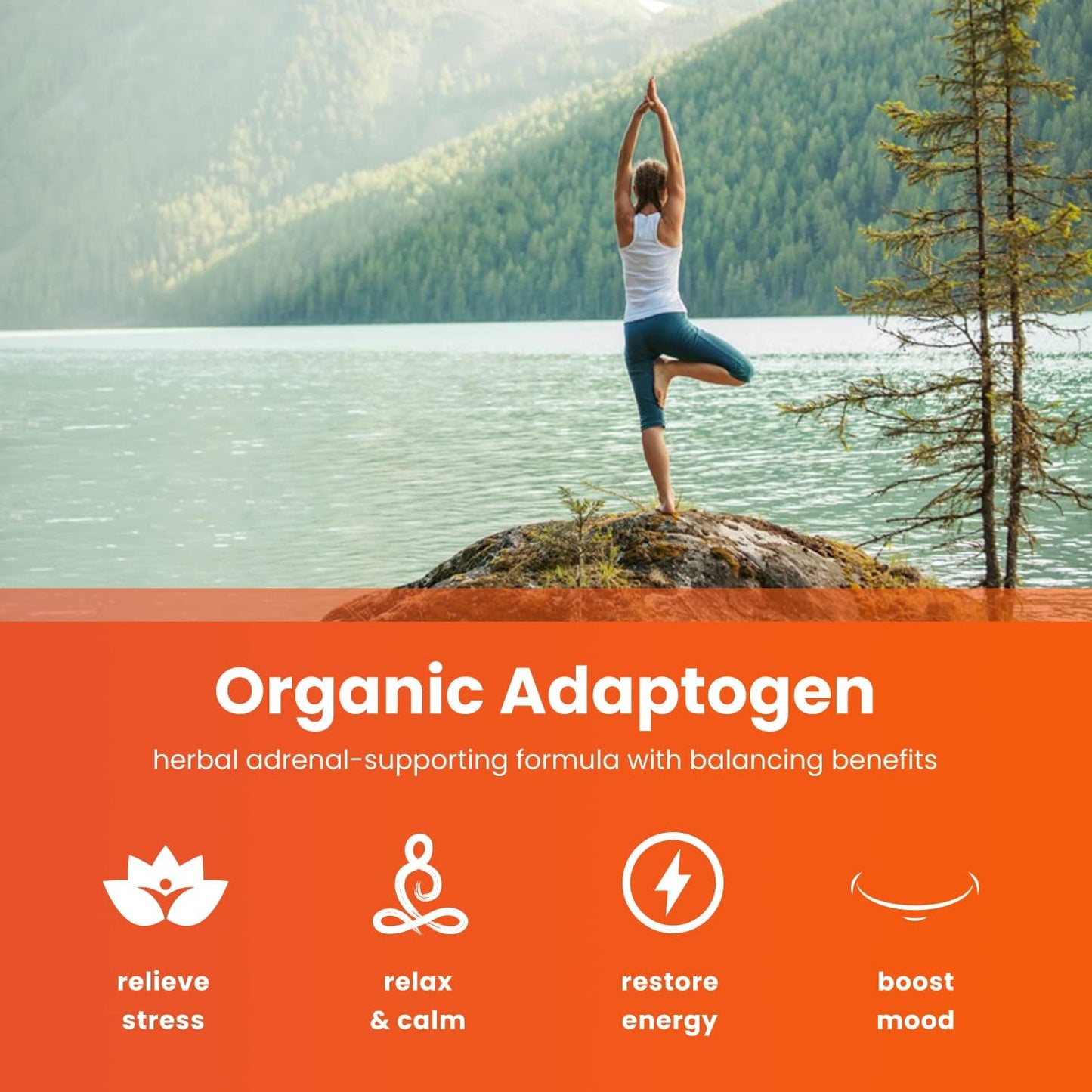 Maca and Ashwagandha Supplement Bundle by NutraChamps for Energy and Stress Relief