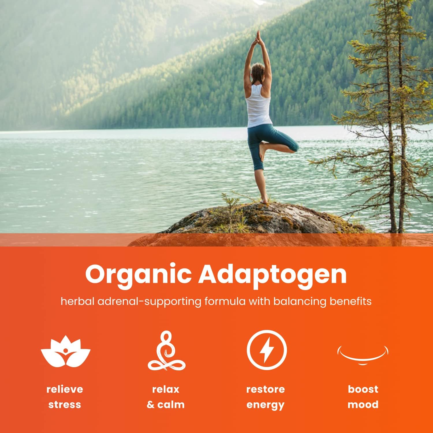 Maca and Ashwagandha Supplement Bundle by NutraChamps for Energy and Stress Relief