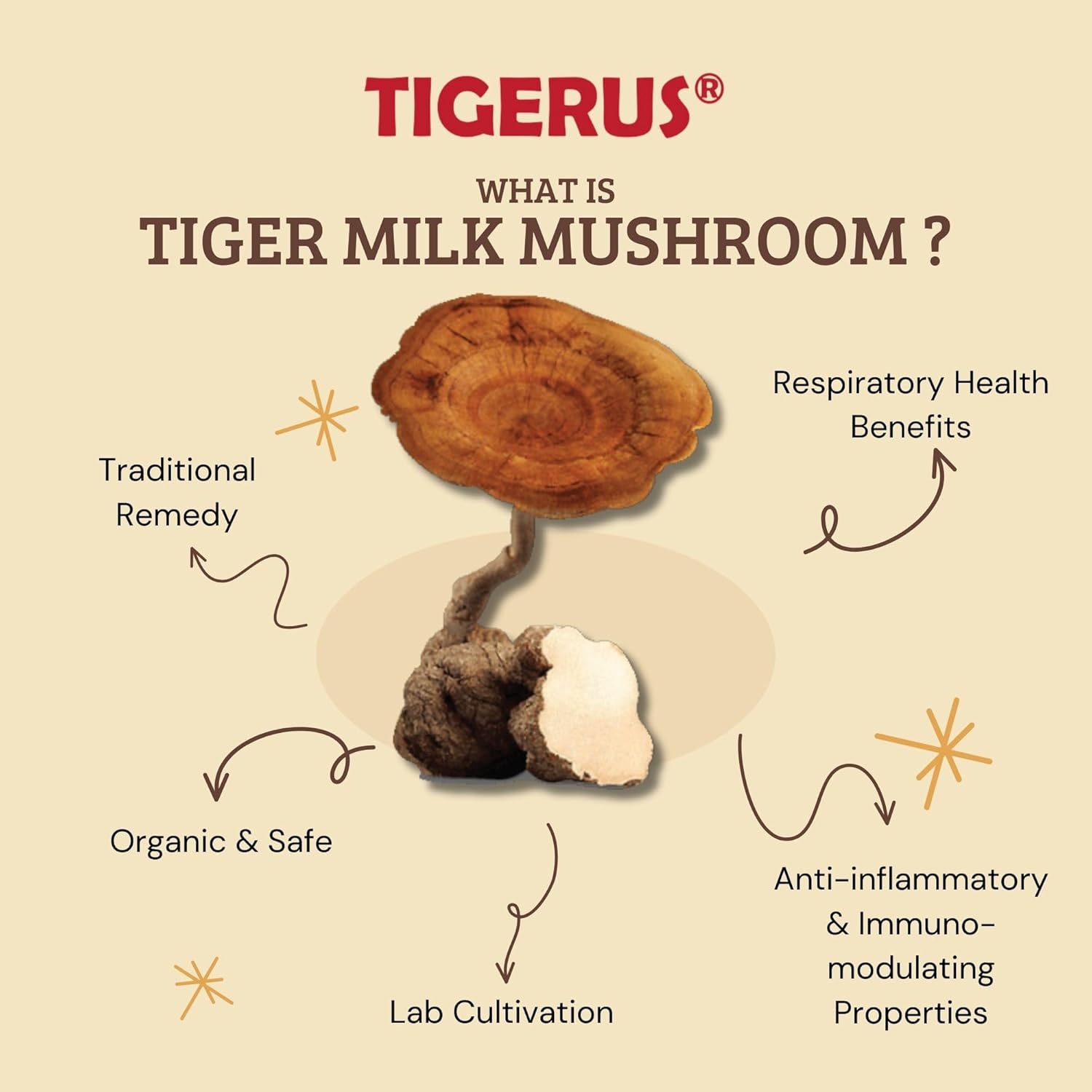 Malaysian Tiger Milk Mushroom (LiGNO TM02®) 420mg x 60 Vegecaps - Respiratory & Immune Support
