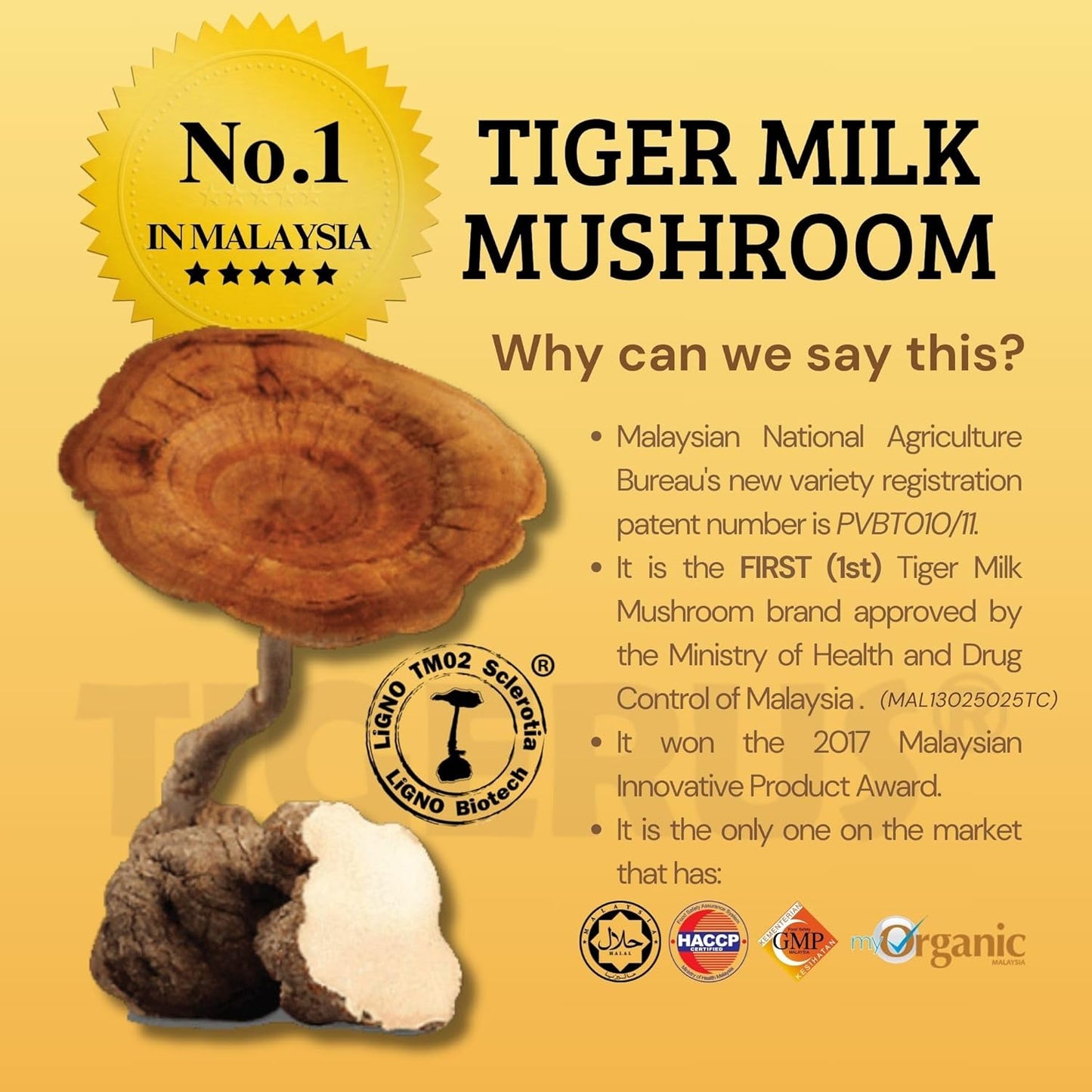 Malaysian Tiger Milk Mushroom (LiGNO TM02®) 420mg x 60 Vegecaps - Respiratory & Immune Support