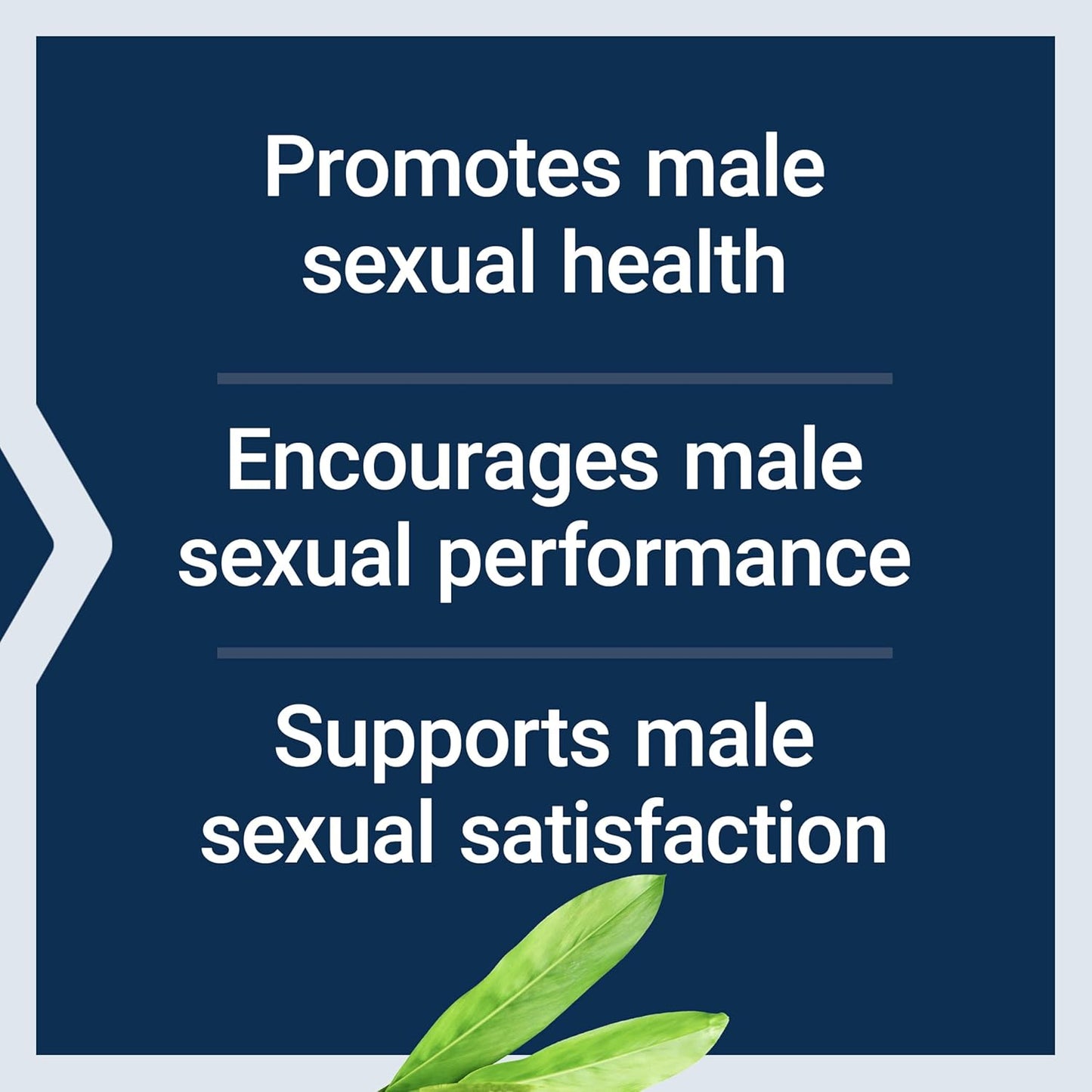 Male Vascular Sexual Support Supplement with Black Ginger and Kaempferia parviflora - 30 Capsules