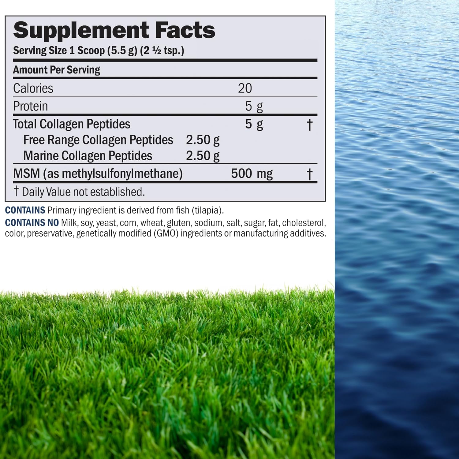 Marine Collagen Peptides Powder with MSM - 240 Servings for Skin and Joint Health, Super Soluble, No Fishy Flavor, Non-GMO