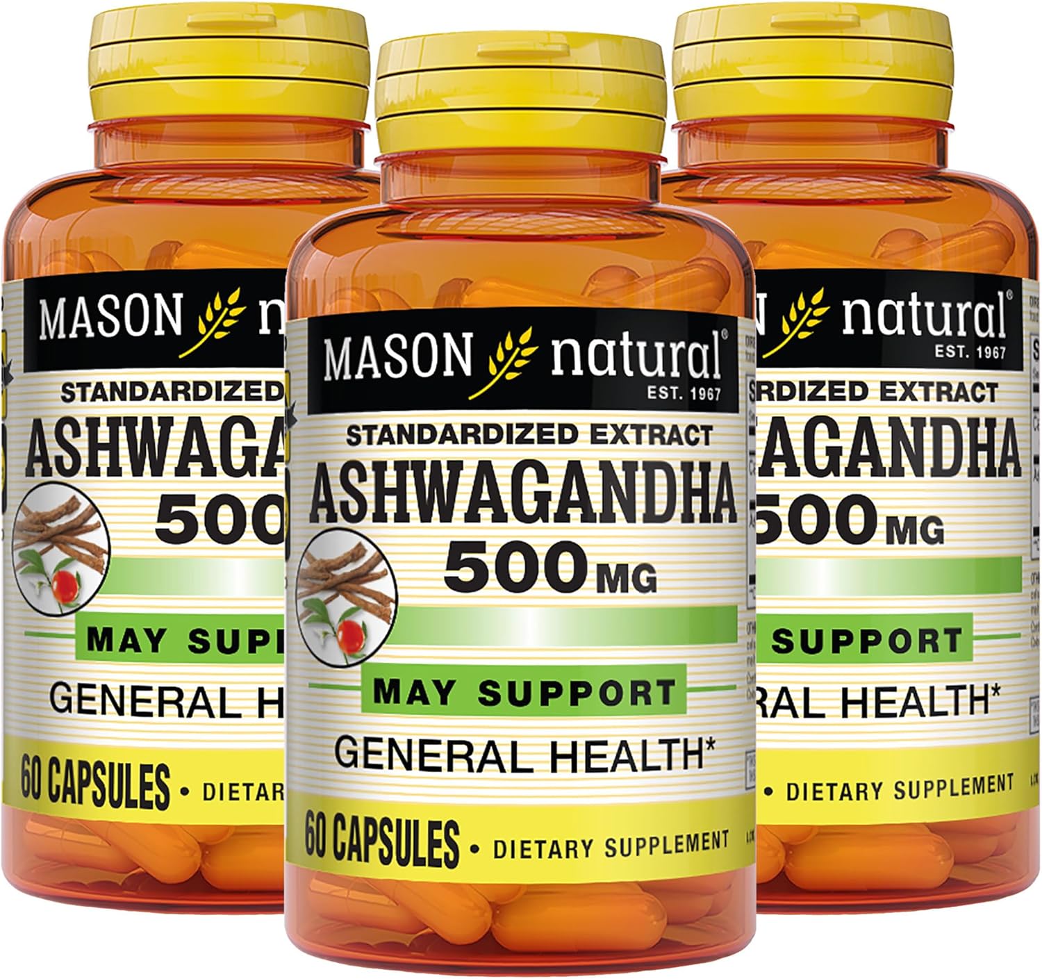 MASON NATURAL Ashwagandha 500mg Herbal Supplement - Stress & Energy Support - 180 Capsules