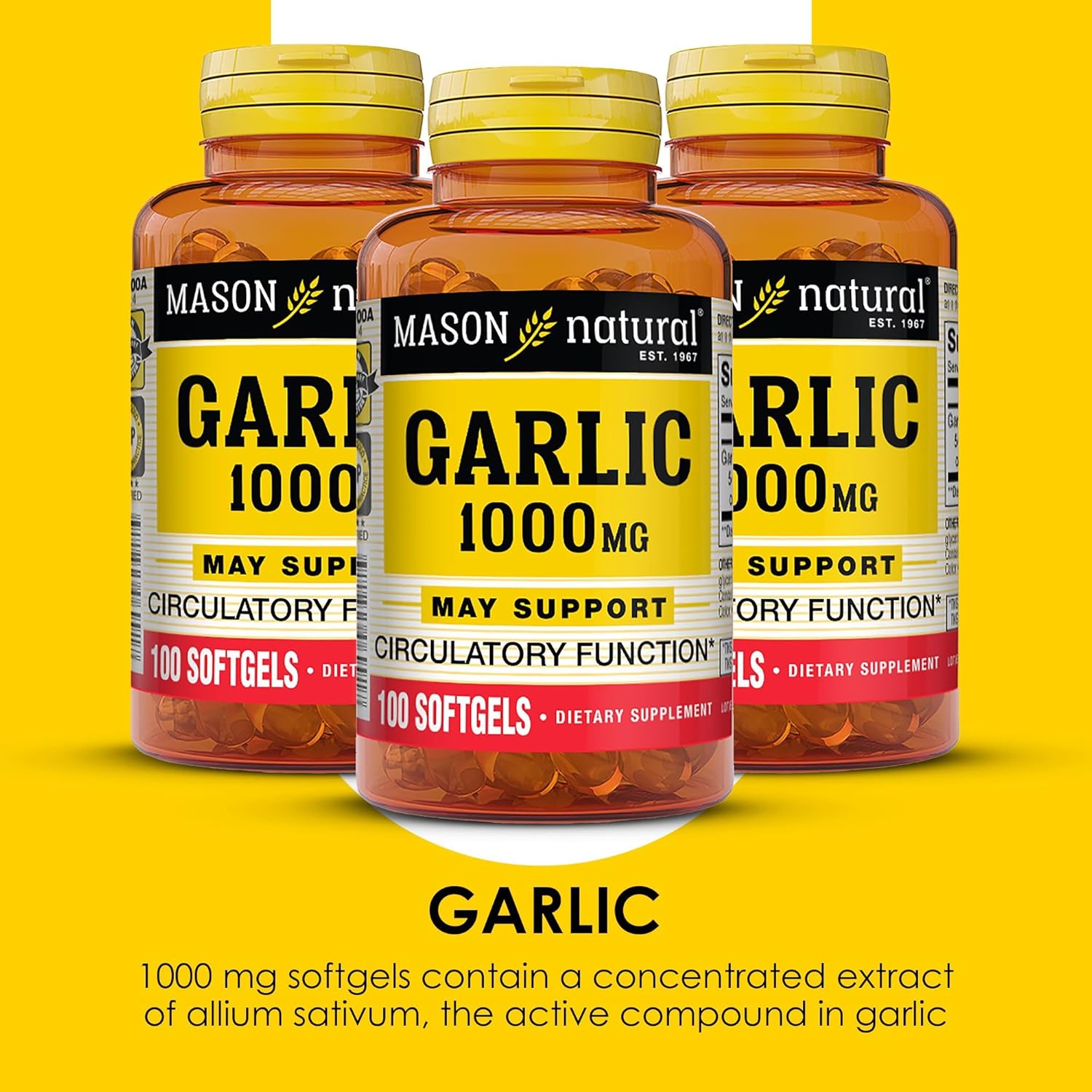 MASON NATURAL Garlic Oil Softgels 1000mg - 300-Day Supply (3 Pack) for Circulatory Health