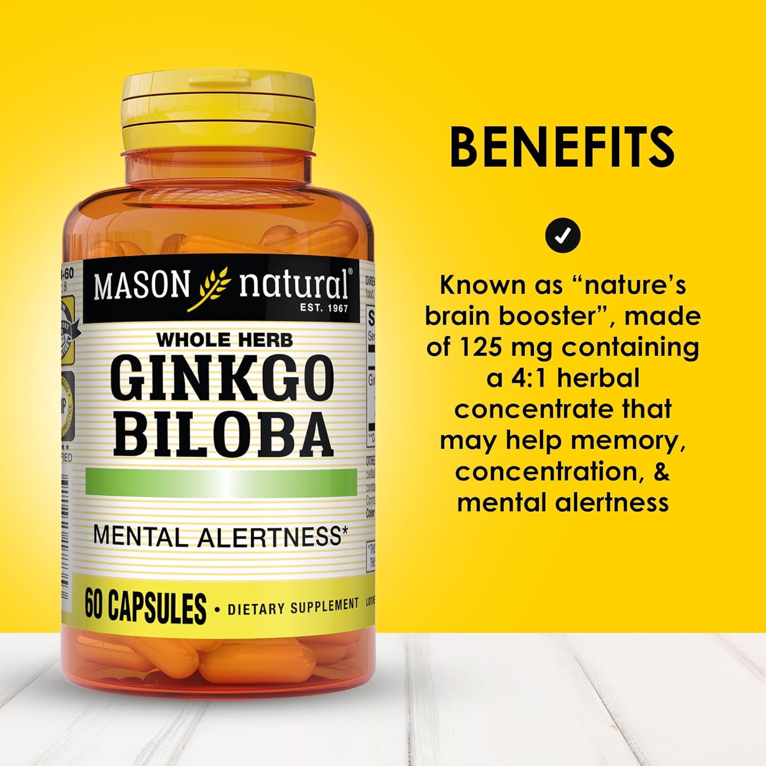 Mason Natural Ginkgo Biloba Capsules - 1 Month Supply for Mental Alertness & Brain Function