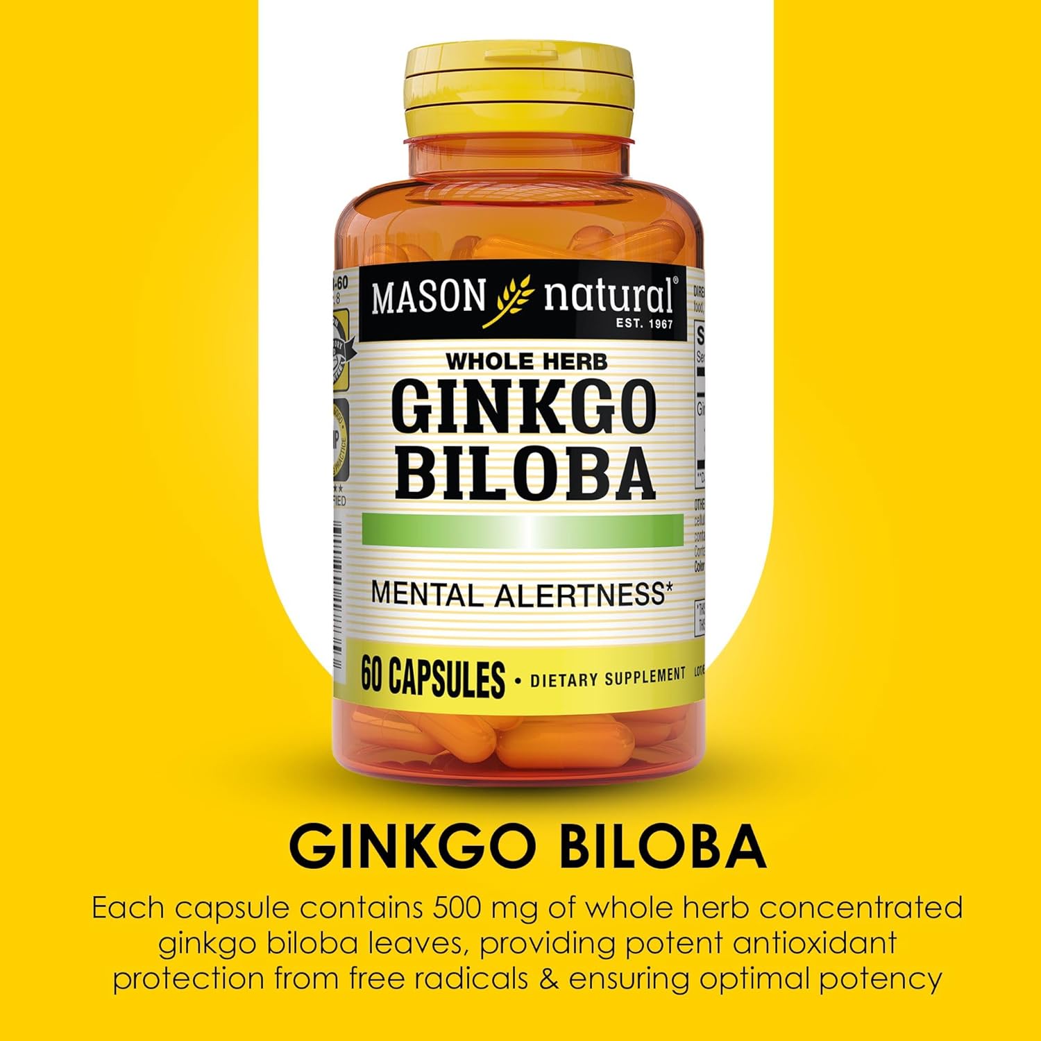 Mason Natural Ginkgo Biloba Capsules - 1 Month Supply for Mental Alertness & Brain Function