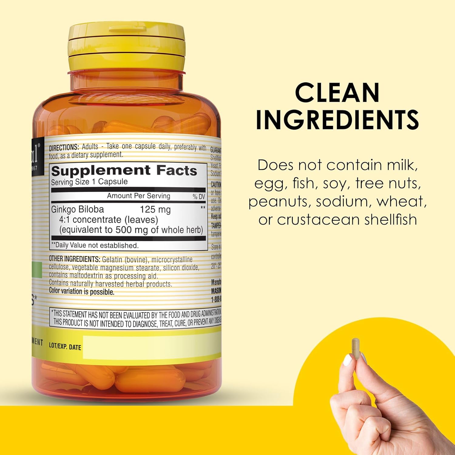 Mason Natural Ginkgo Biloba Capsules - 1 Month Supply for Mental Alertness & Brain Function