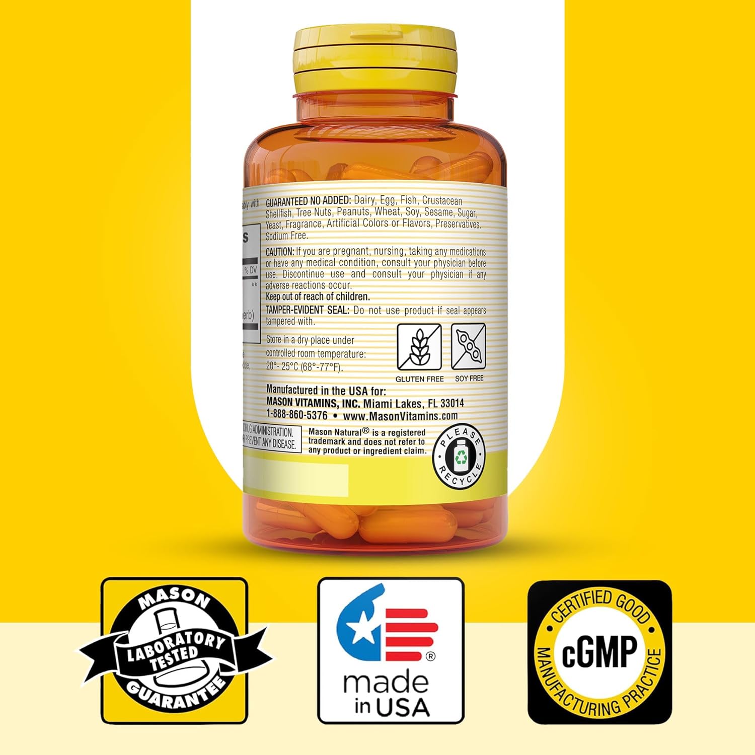 Mason Natural Ginkgo Biloba Capsules - 1 Month Supply for Mental Alertness & Brain Function