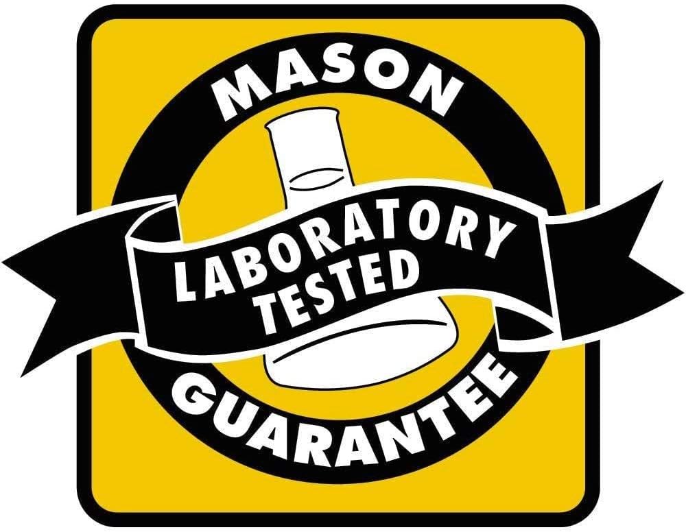 Mason Vitamins Iron Ferrous Gluconate Tablets, 240mg, 100 Count Bottle - Pack of 1