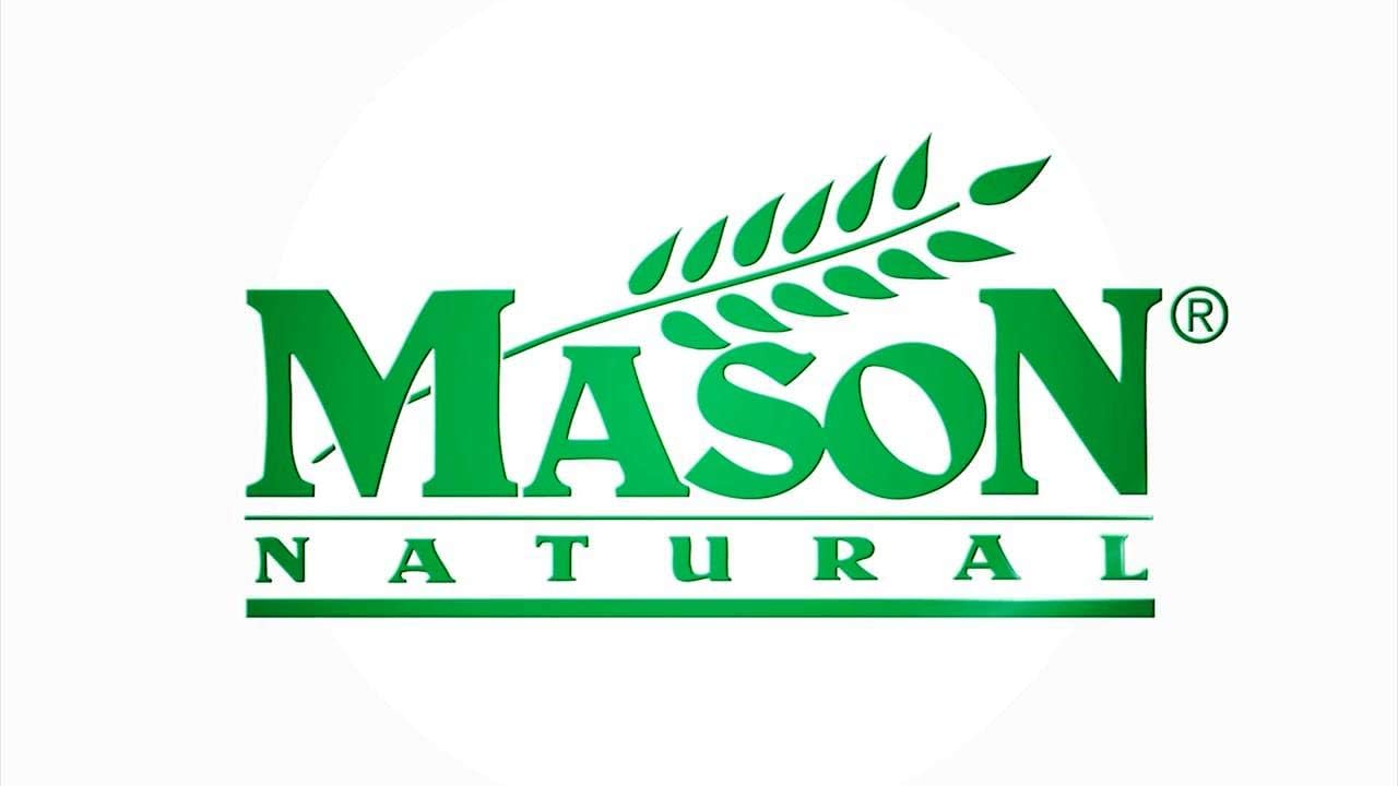 Mason Vitamins Iron Ferrous Gluconate Tablets, 240mg, 100 Count Bottle - Pack of 1