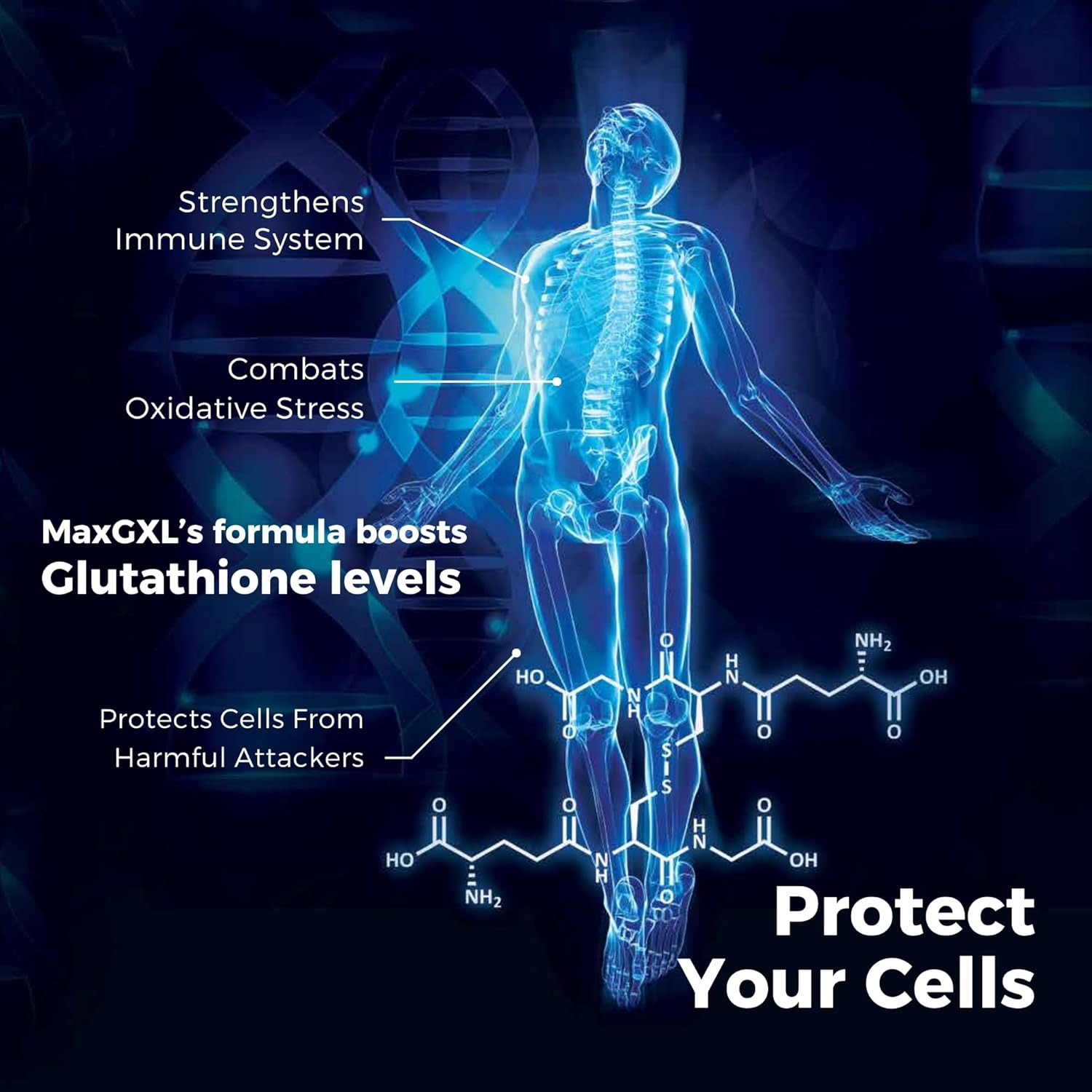 Max International Max GXL NAC Formula Supplement 180 Vegetable Capsules, 60 Servings