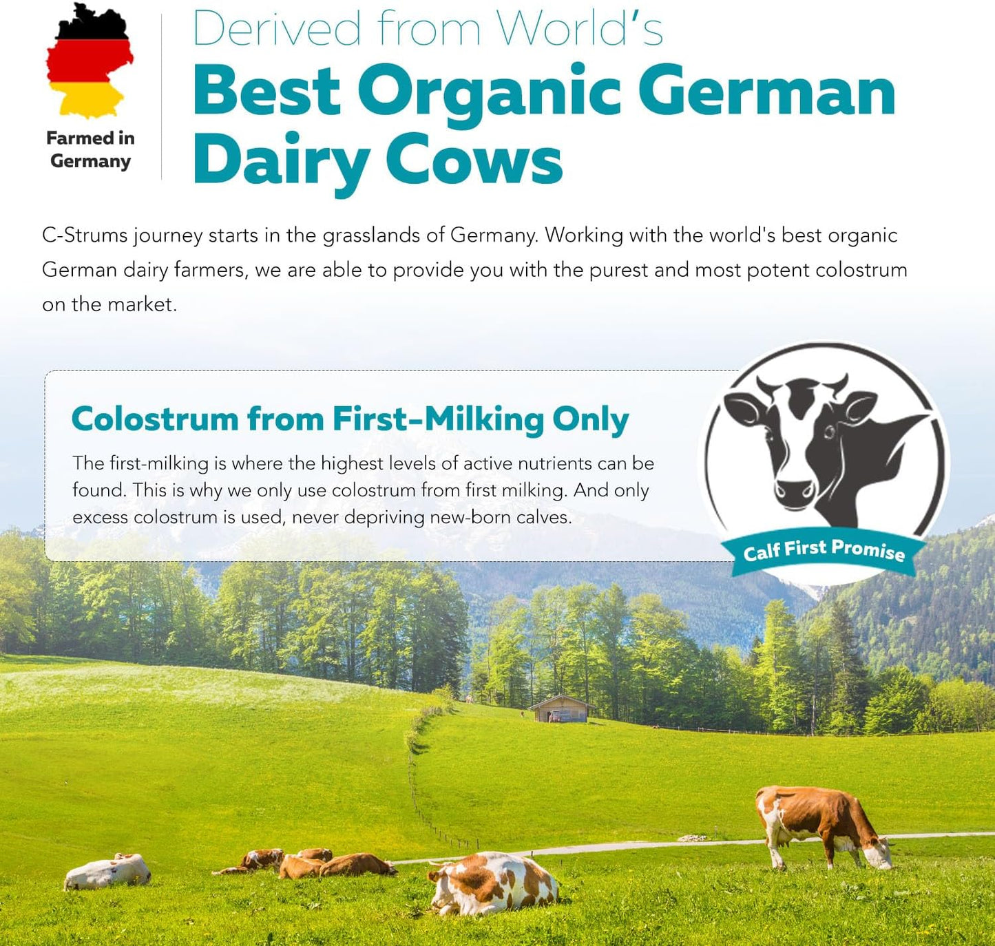 Max Strength Organic Bovine Colostrum Supplement Capsules, 60% igG, Grass Fed German Dairy Cows - Gut, Immunity, Skin & Hair Support (90 count)