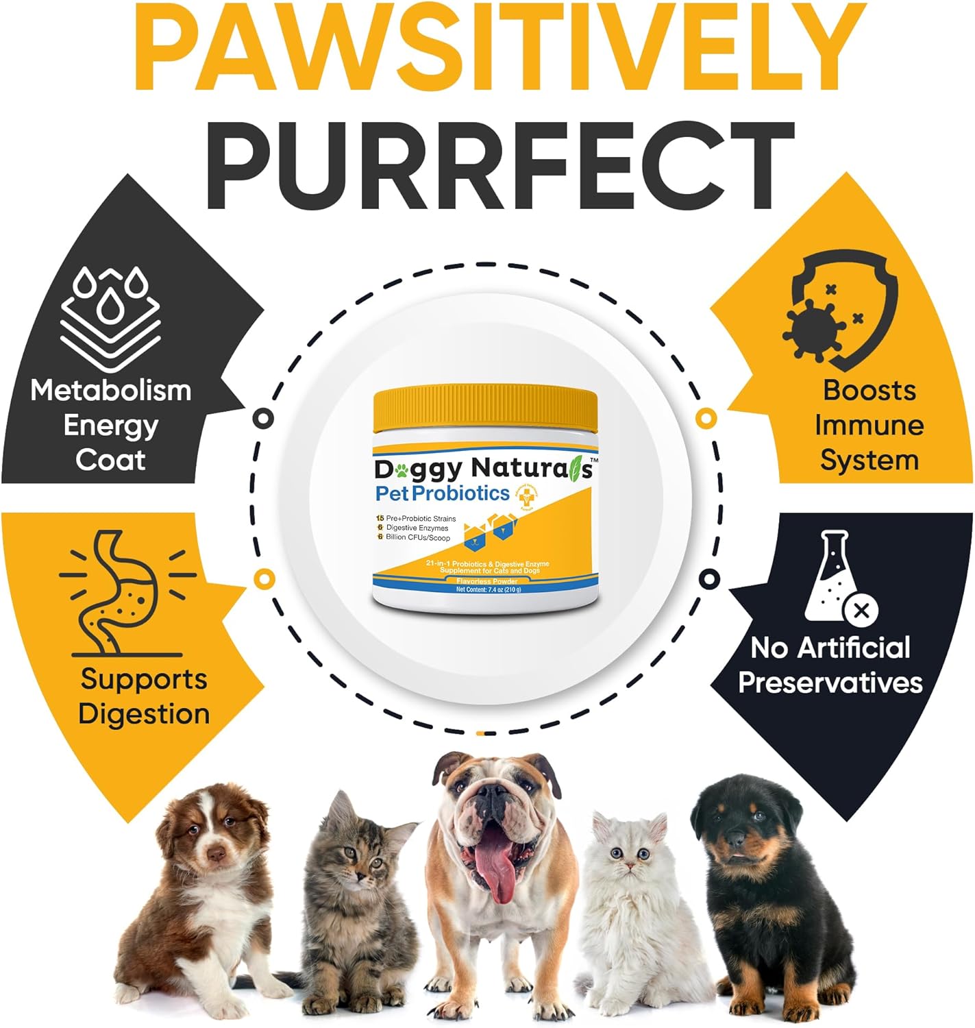 Max-Strength Pet Probiotics for Dogs and Cats - 15 Strains, 6 Billion CFU, USA Made