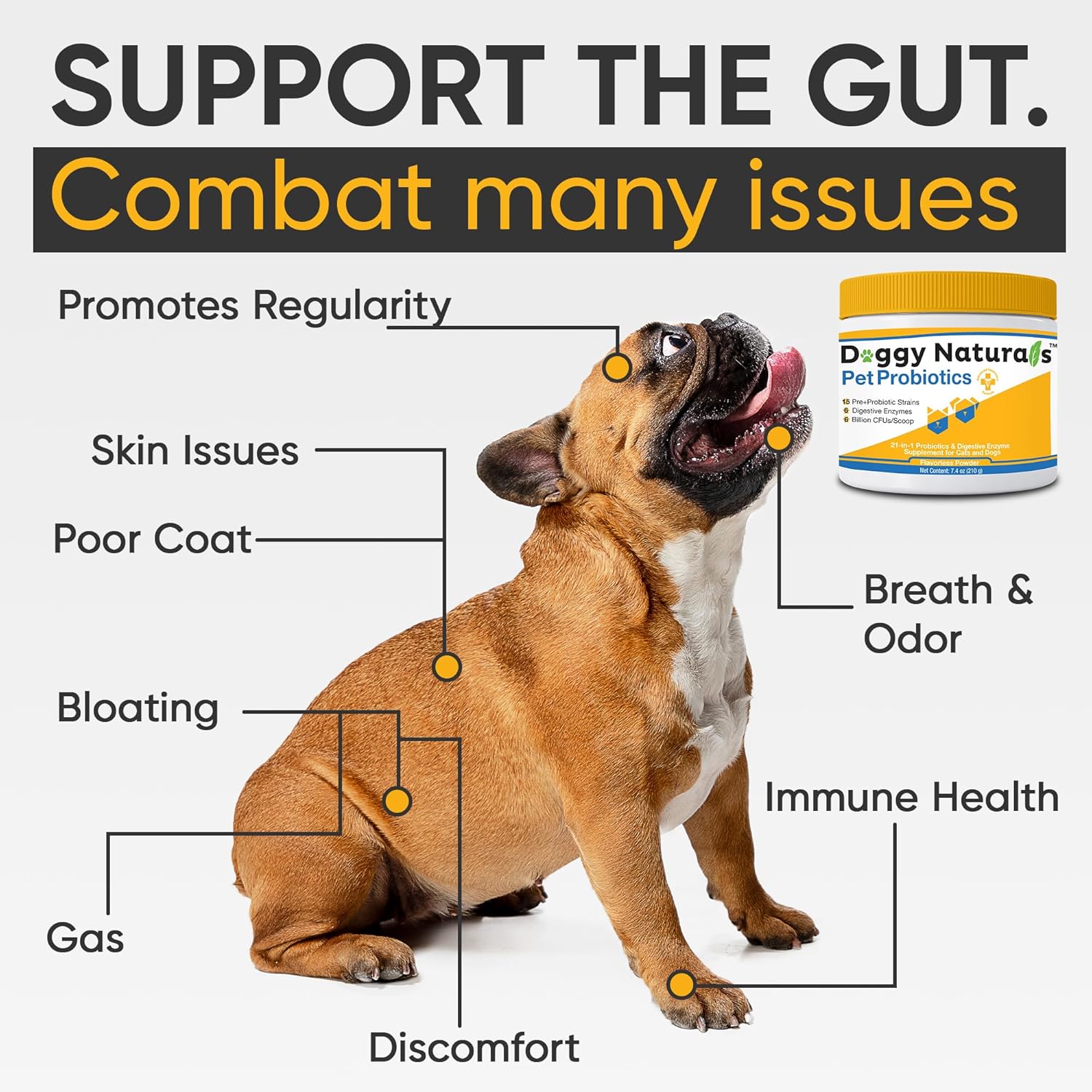 Max-Strength Pet Probiotics for Dogs and Cats - 15 Strains, 6 Billion CFU, USA Made