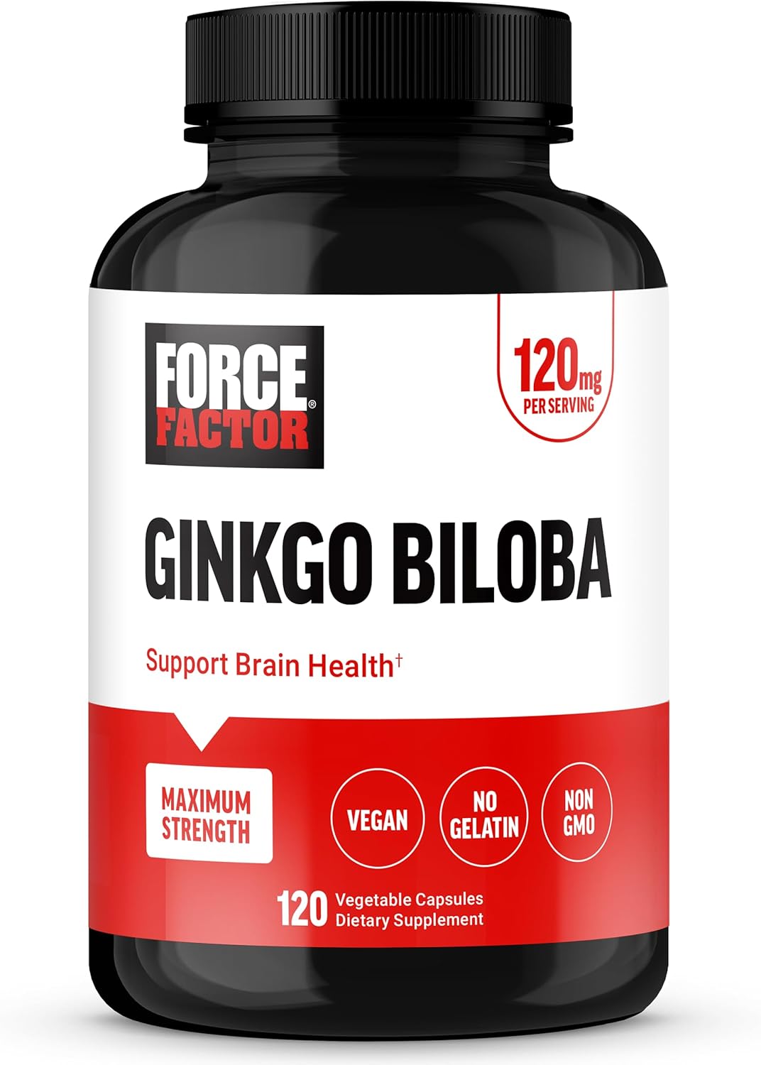 Maximum Strength Ginkgo Biloba 120mg Brain Health Supplement - Cognitive Support for Adults, Vegan, Non-GMO - 120 Capsules