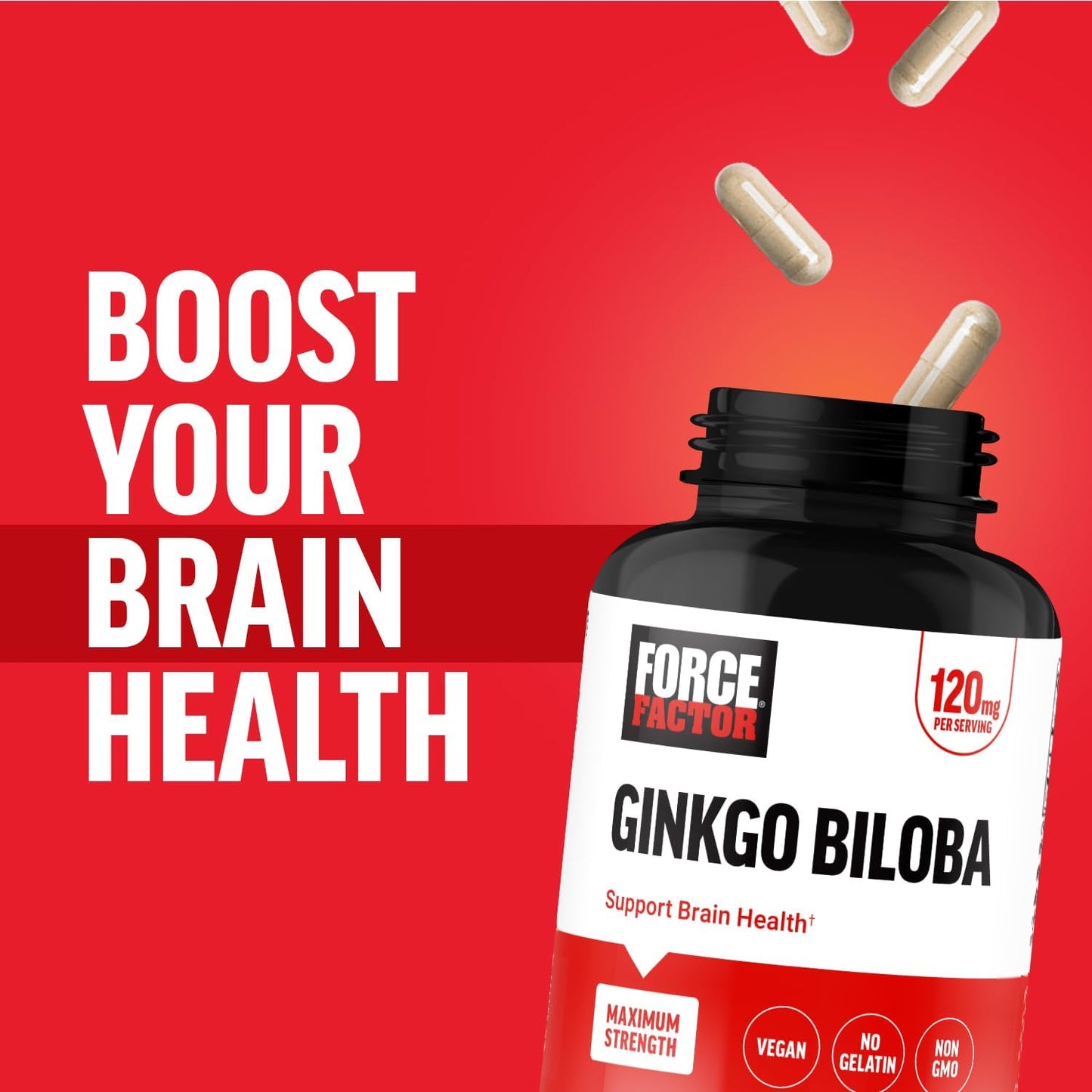 Maximum Strength Ginkgo Biloba 120mg Brain Health Supplement - Cognitive Support for Adults, Vegan, Non-GMO - 120 Capsules