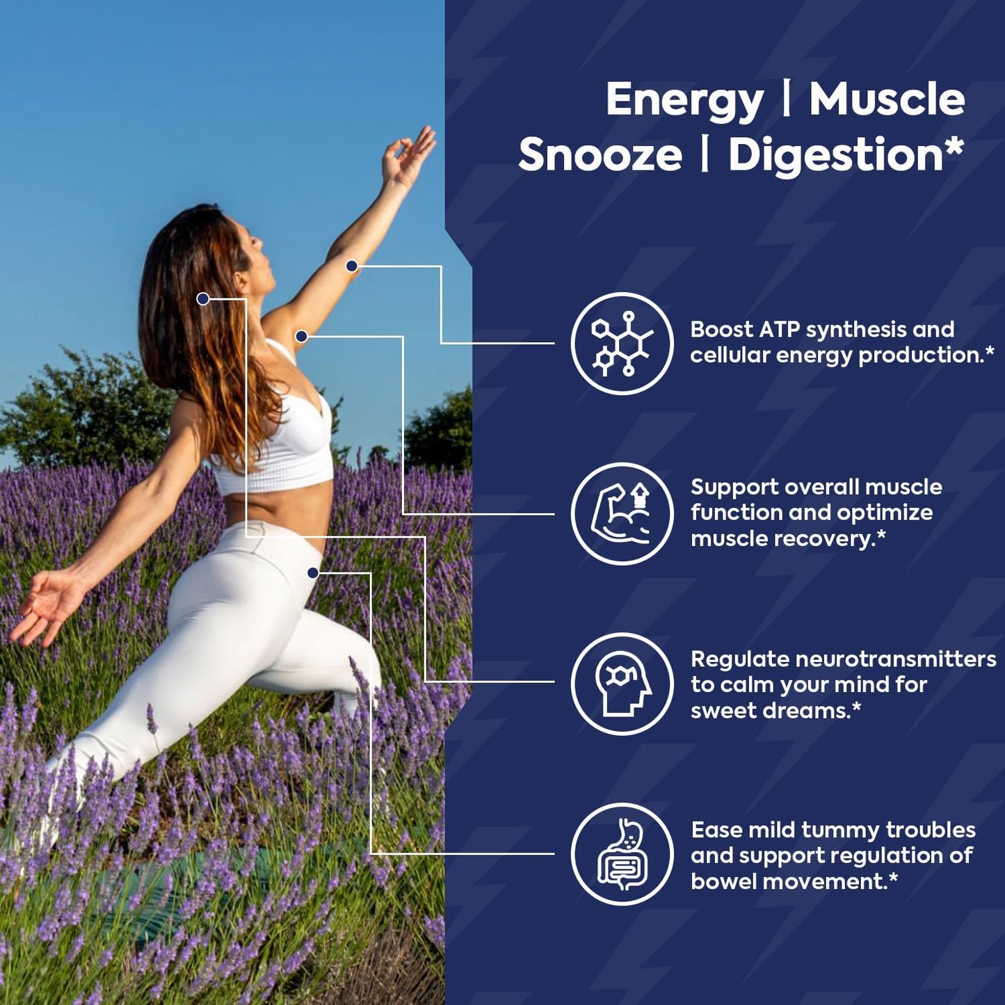 MaxMight Magnesium Complex - 210mg Elemental Magnesium - Glycinate, Citrate & Malate - Non-GMO - Max Absorption - Muscle, Mood, Energy Support - 90 Vegan Capsules