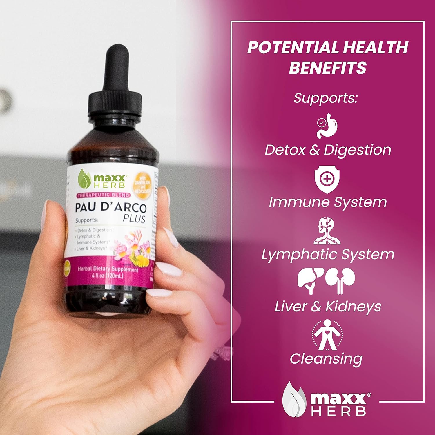 Maxx Herb Immune Support Pau D'Arco Extract with Dandelion Root & Red Clover Therapeutic Blend - 4 Oz Bottle
