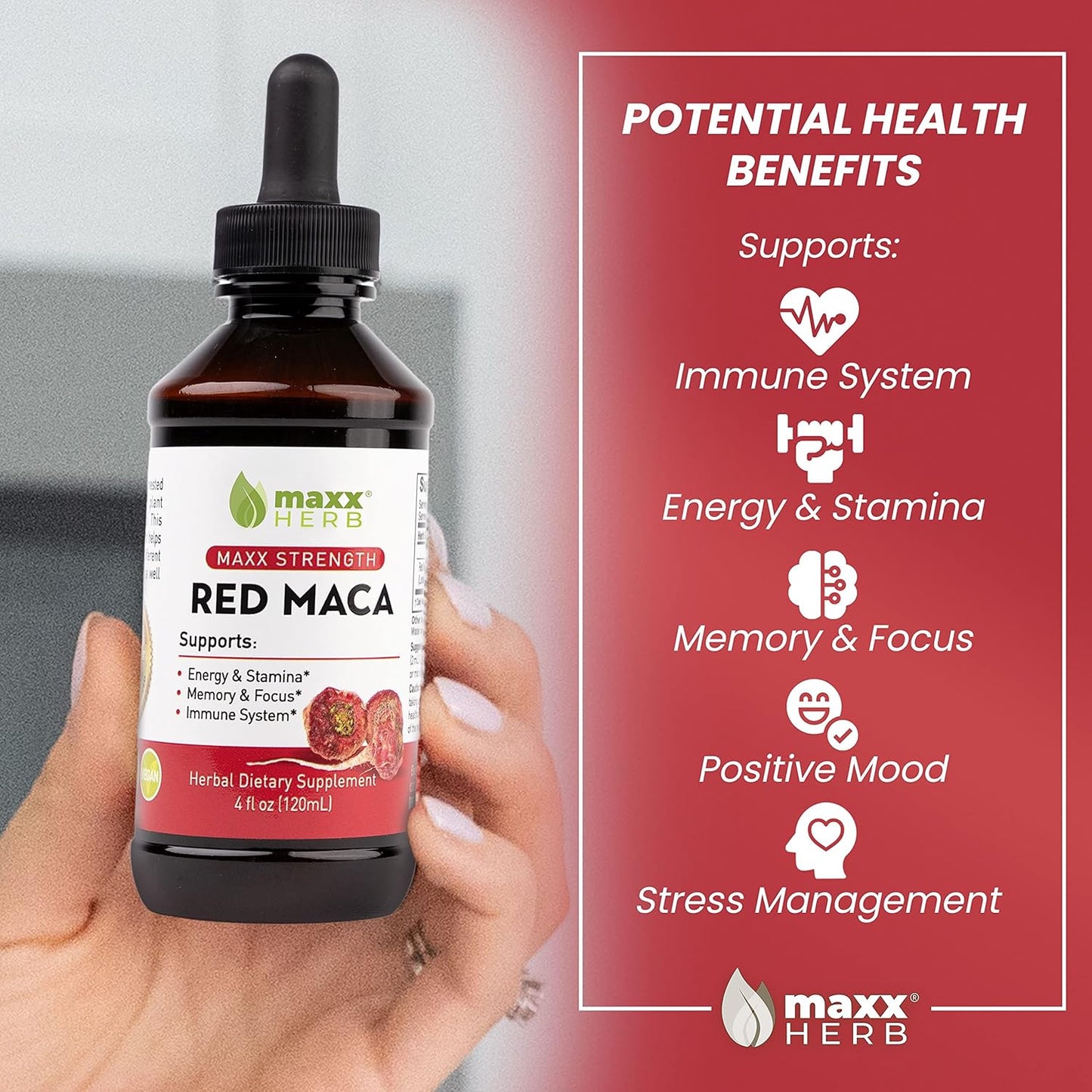 Maxx Herb Red Maca Root Extract Liquid Drops - High Potency for Stamina, Memory, and Focus - 4 Oz Bottle (60 Servings)