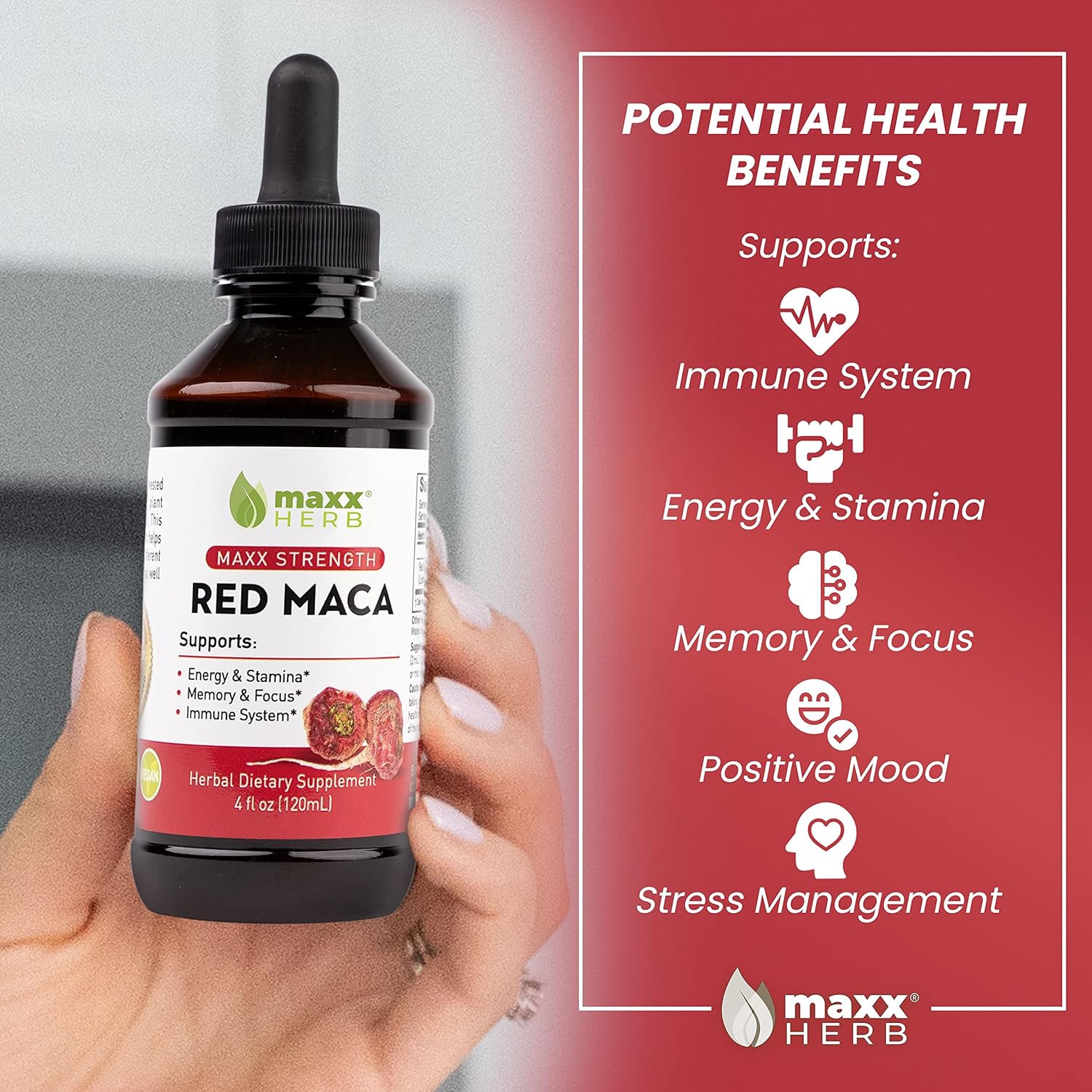Maxx Herb Red Maca Root Extract Liquid Drops - High Potency for Stamina, Memory, and Focus - 4 Oz Bottle (60 Servings)