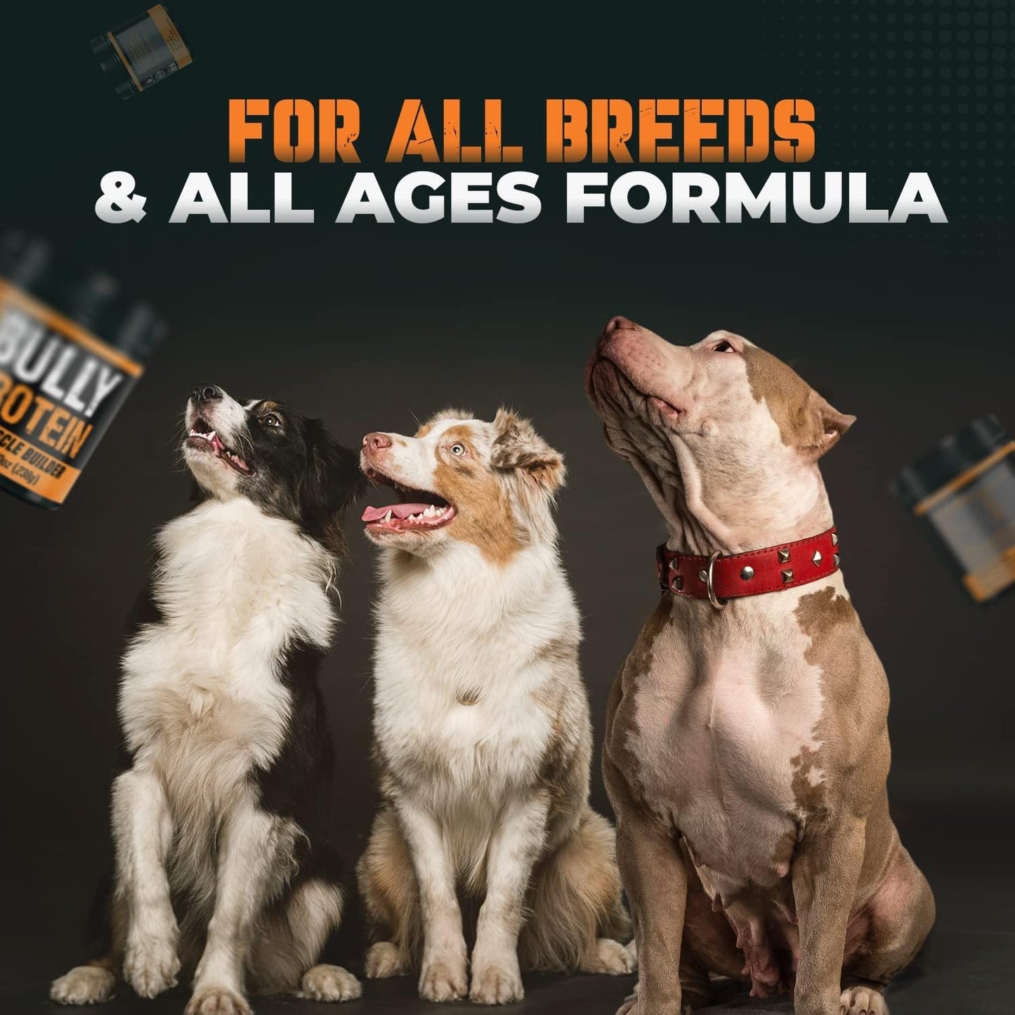 MBF SUPPLEMENTS Bully Protein & Vitamin Muscle Enhancer for Dogs, 30-Day Supply, 238mg Growth & Mass Gainer - Ideal for Pitbulls & Bulldogs