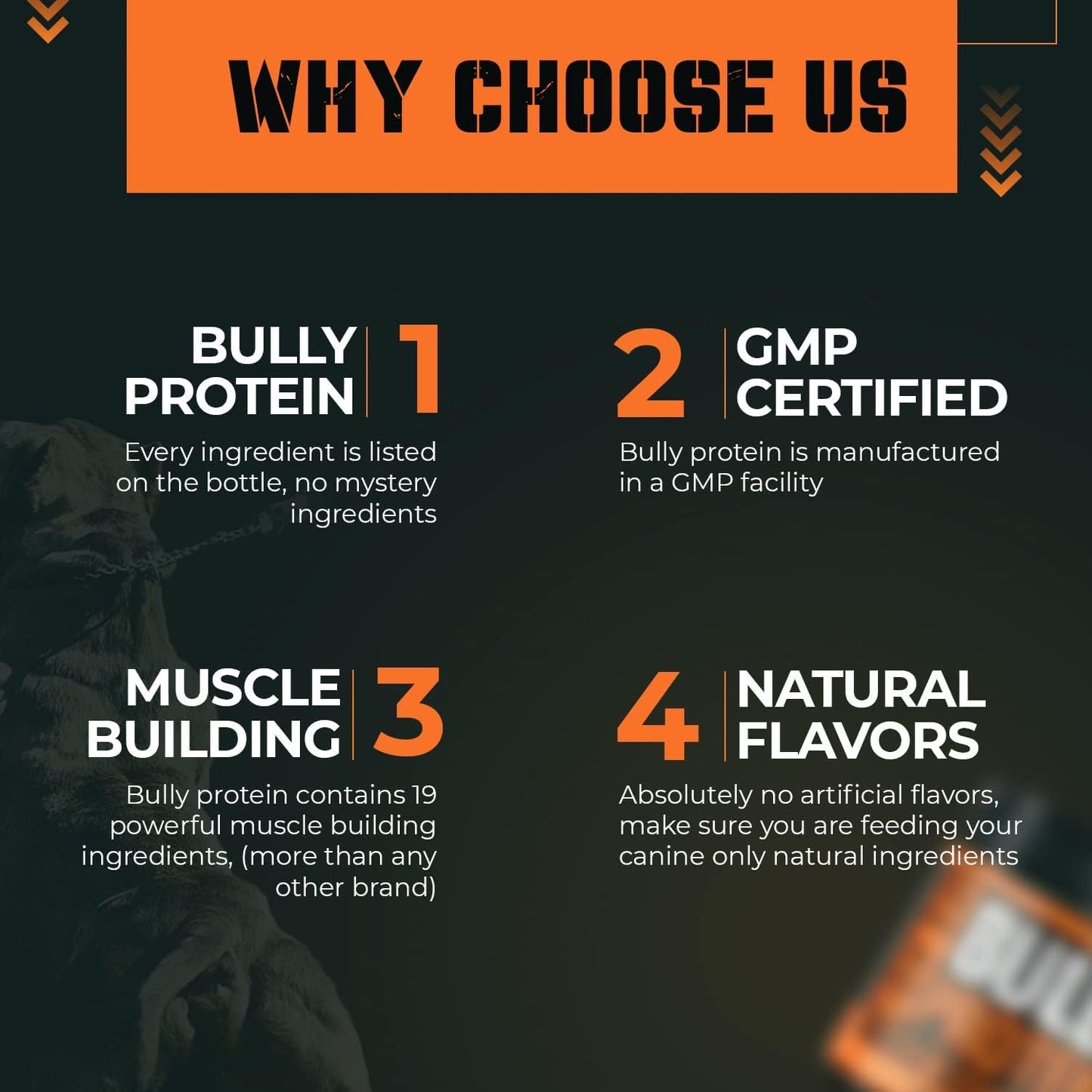 MBF SUPPLEMENTS Bully Protein & Vitamin Muscle Enhancer for Dogs, 30-Day Supply, 238mg Growth & Mass Gainer - Ideal for Pitbulls & Bulldogs